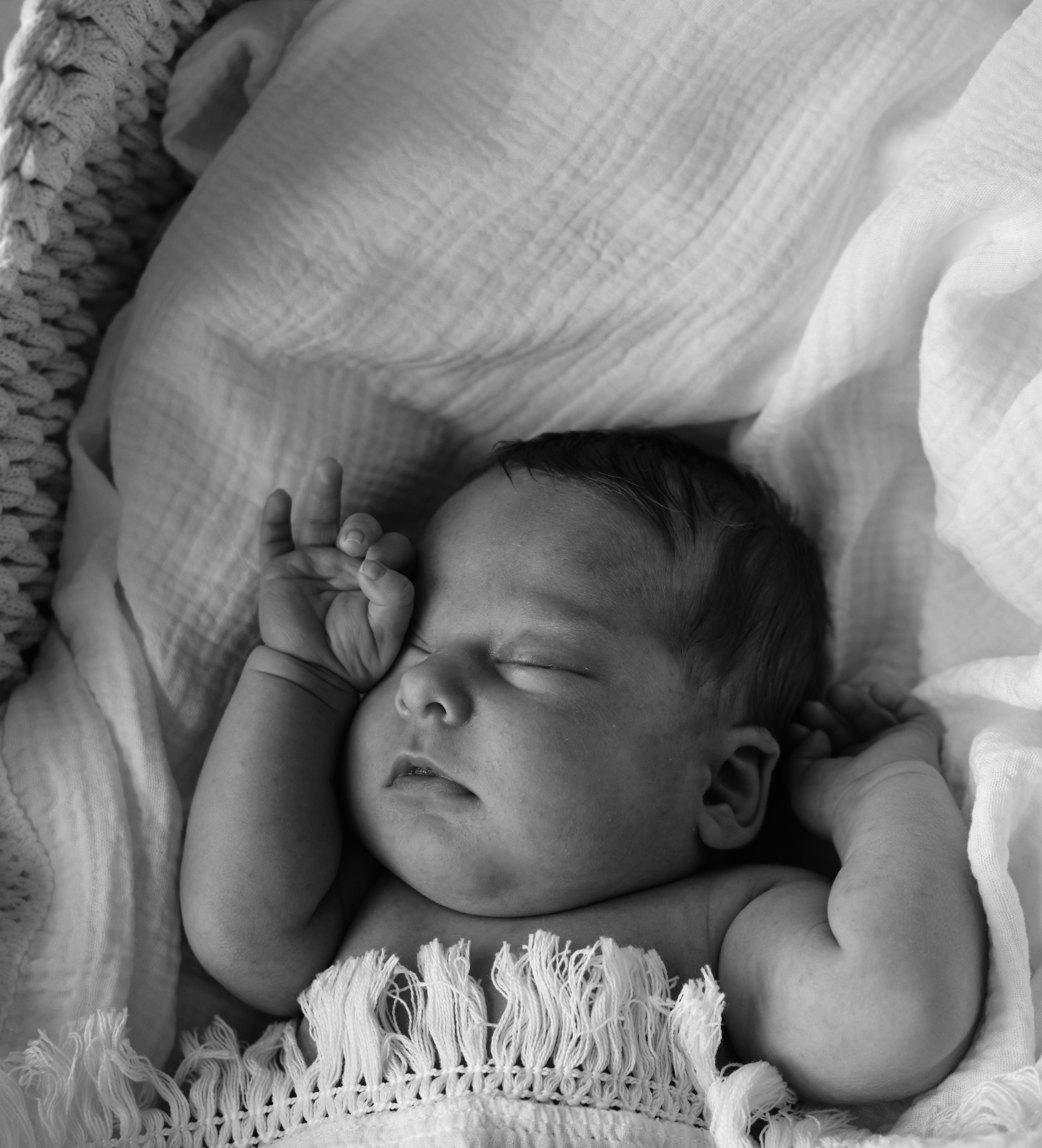 Дом, где растет любовь. Фотограф Карелина Полина