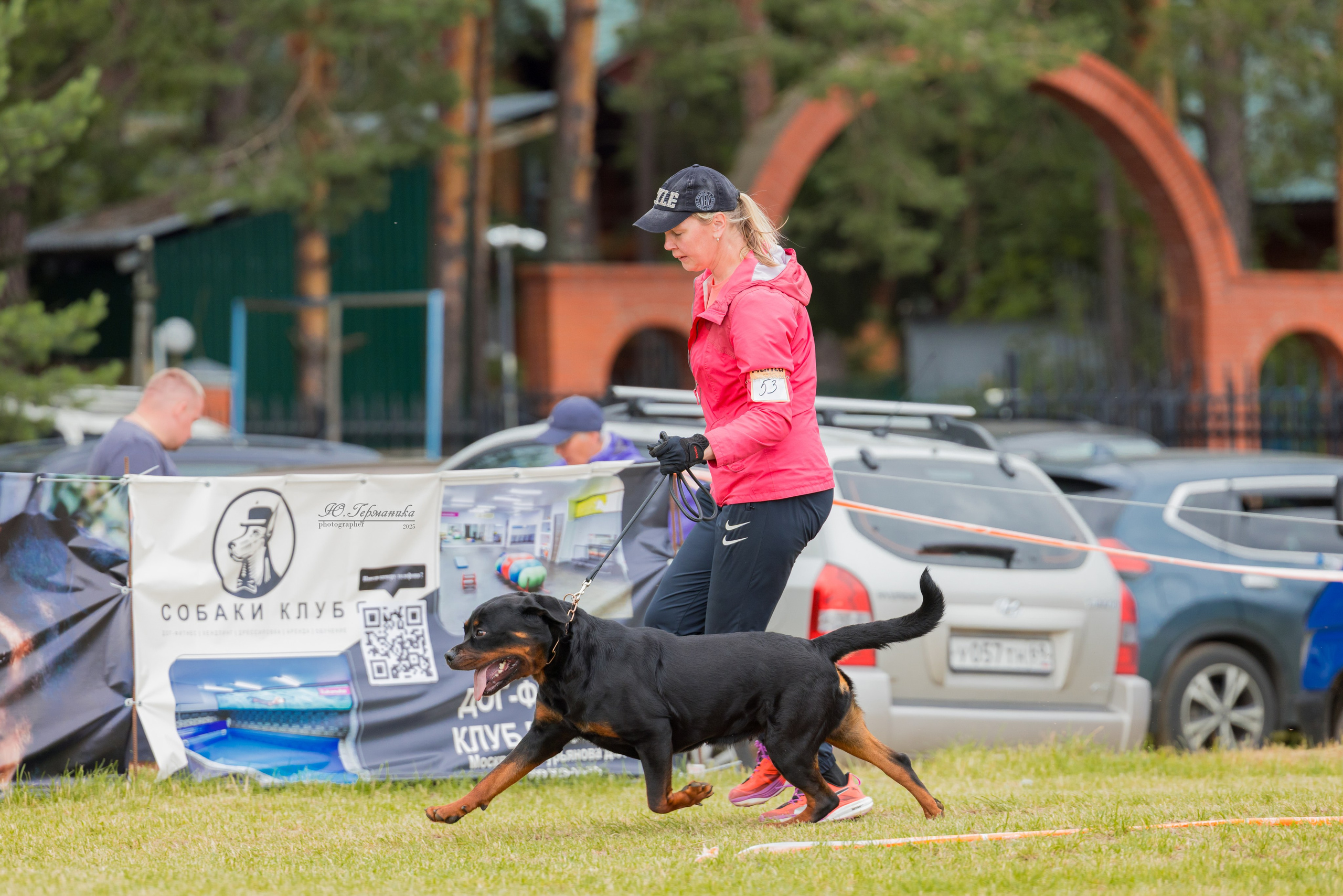 Тверь ротвейлеры 5-6.07.2025. Фотограф-анималист Юлия Германика