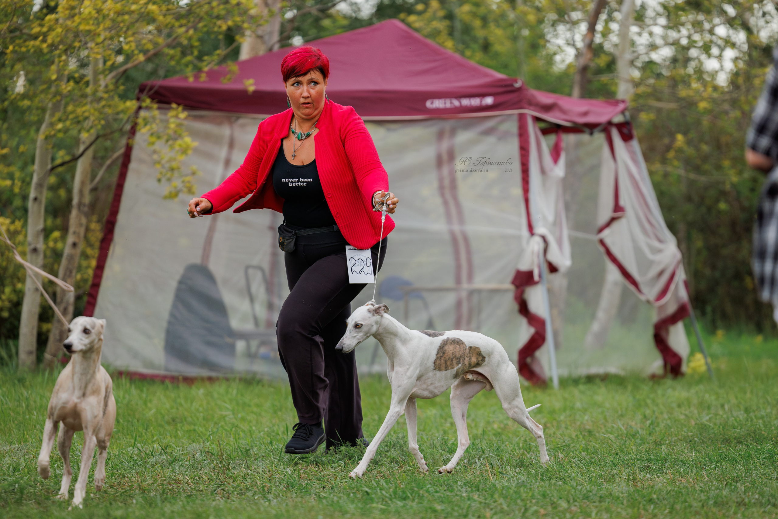 Астана 2хCACIB 17-18.08.2024. Фотограф-анималист Юлия Германика