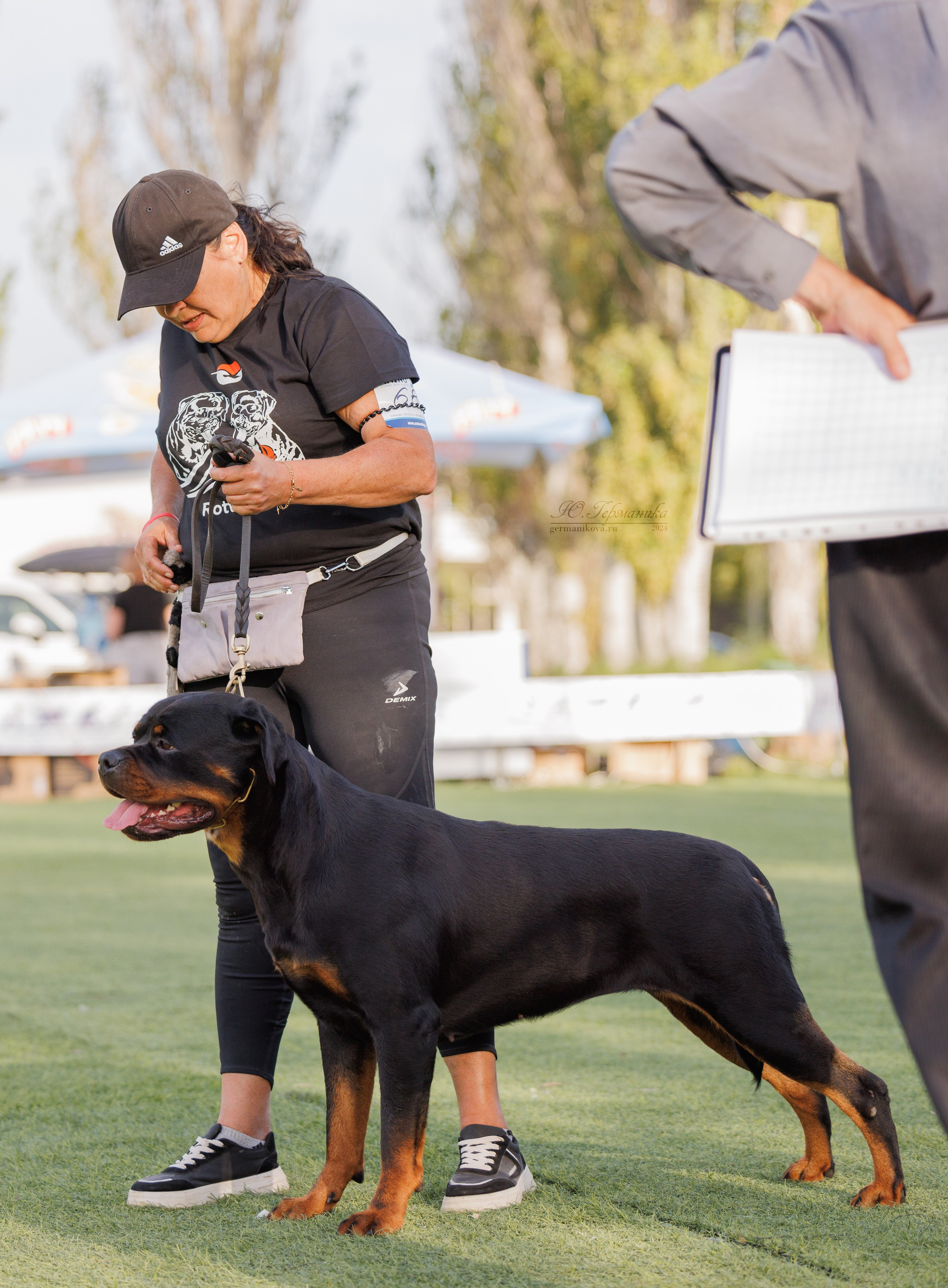 Анапа ротвейлеры 14-15.09.2024. Фотограф-анималист Юлия Германика