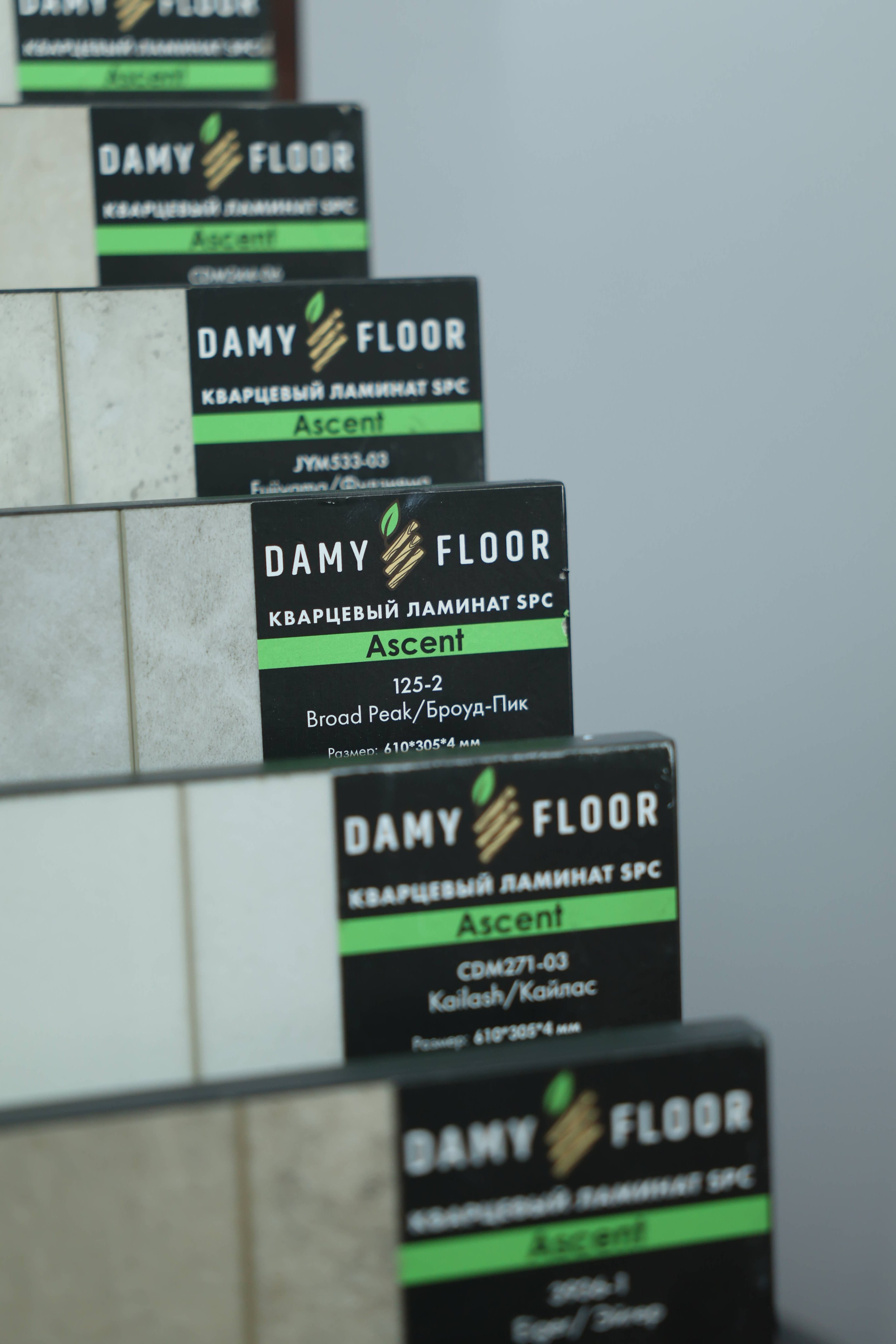 Damy Floor