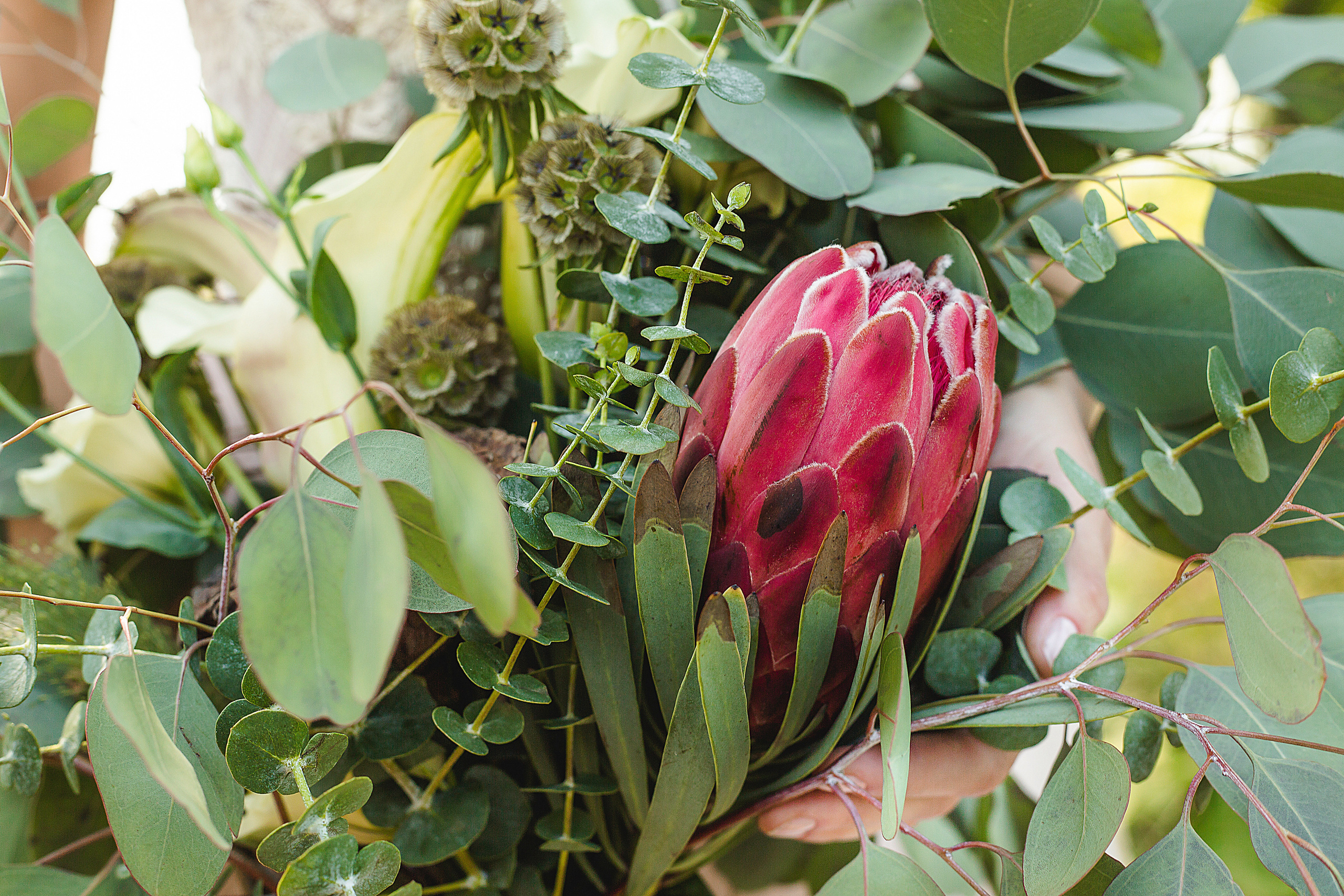 Надежда и Дмитрий. Семейный и свадебный фотограф в Минске Ирина Тихонова
