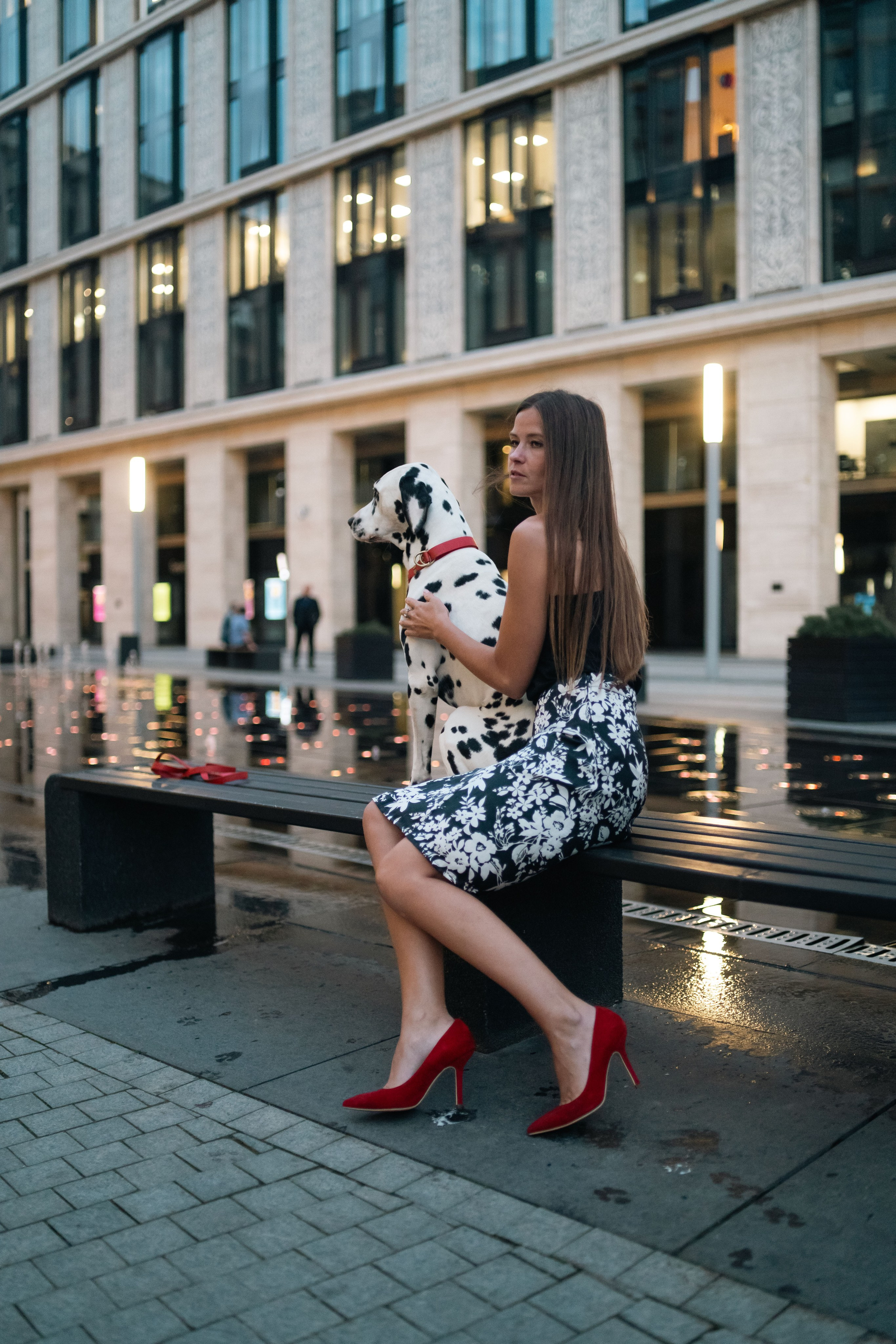 1 Далматин. Фотограф анималист