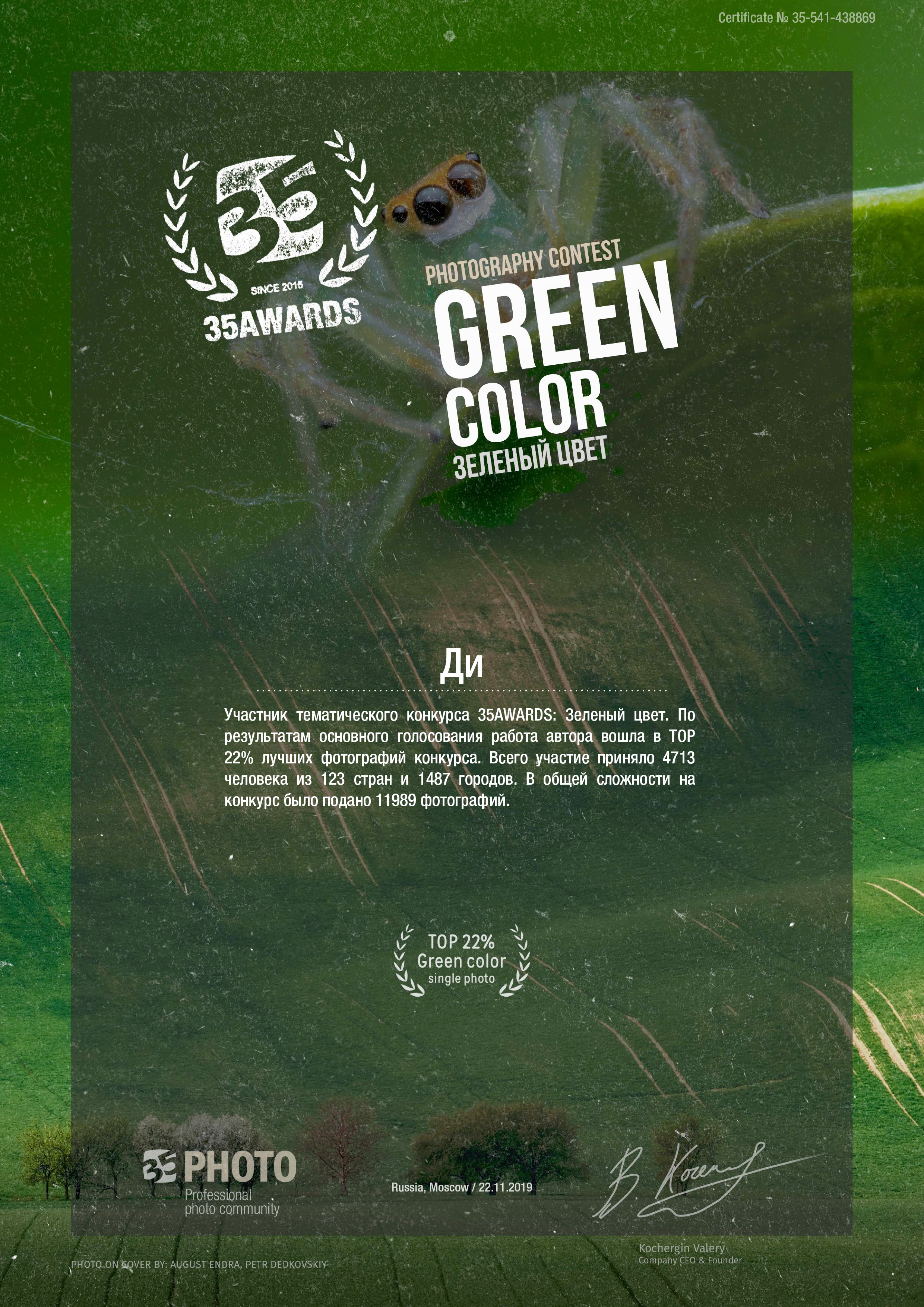 Ачивки. Фотограф. Love story, портрет, индивидуальные съемки. Фудфотограф