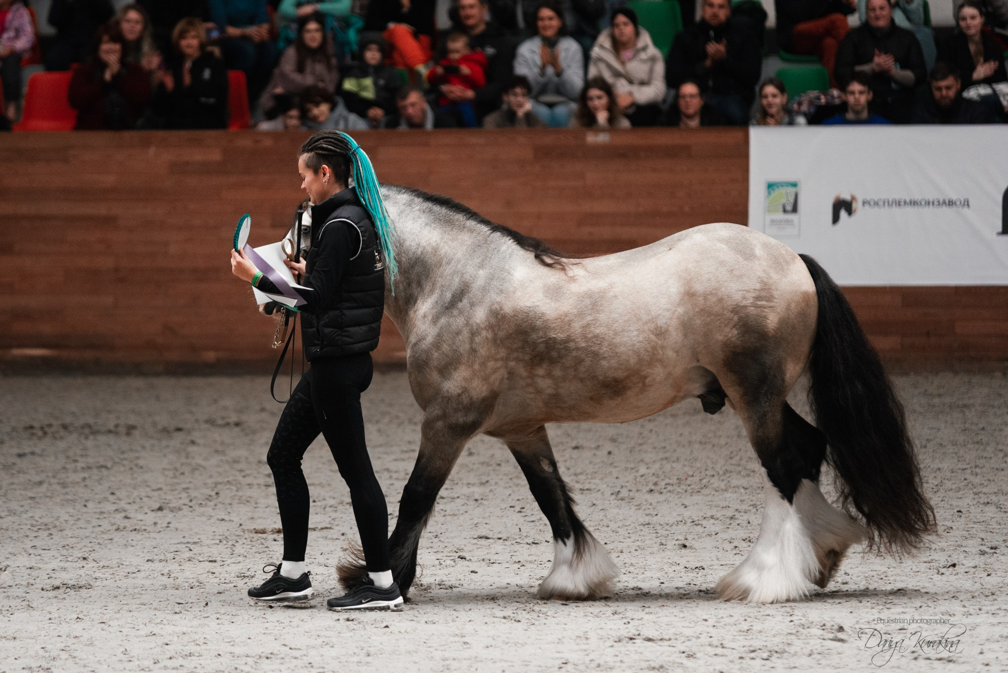 8-я международная выставка Конная Россия. Конный фотограф Куракина Дарья • Фотосессии с лошадьми