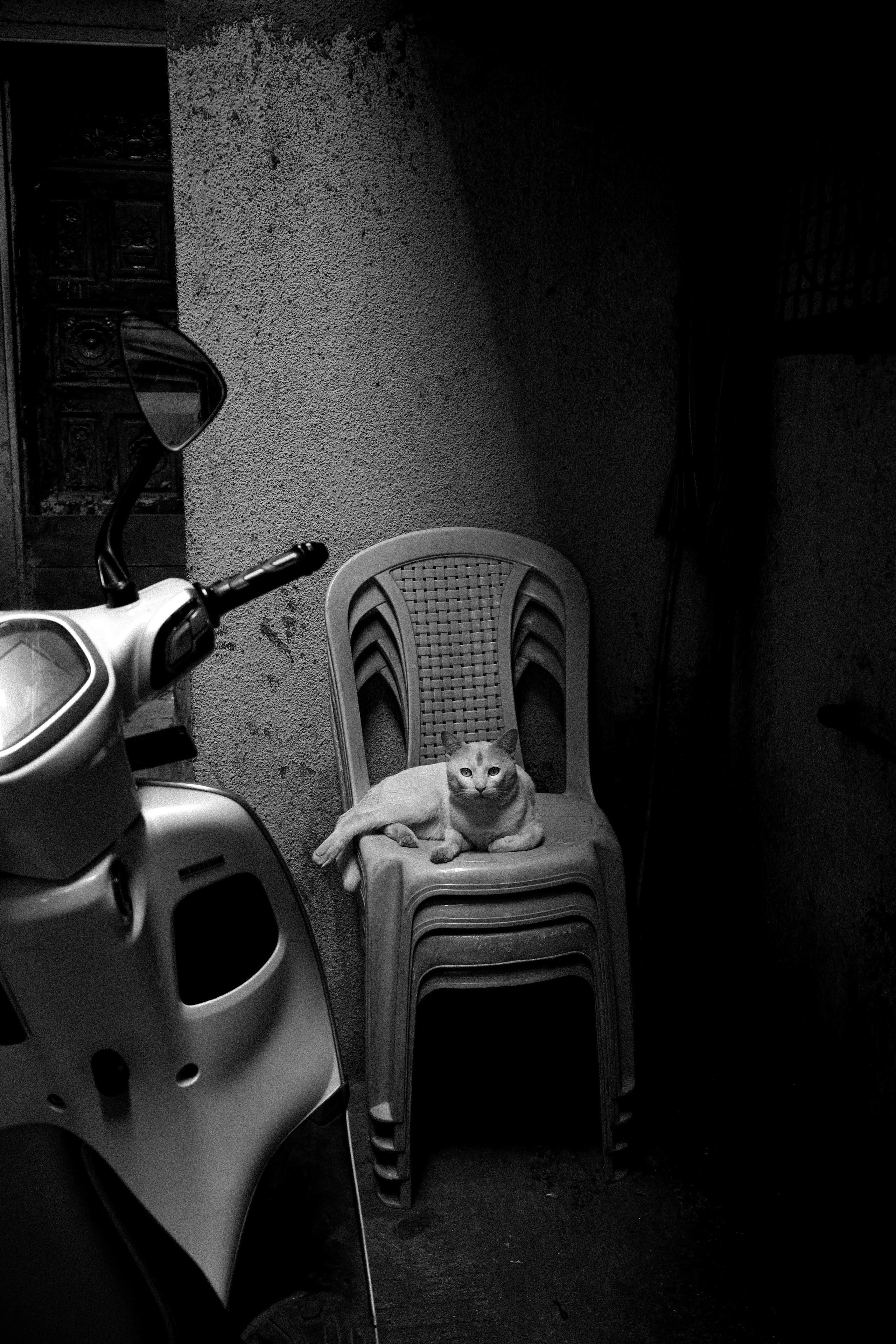 India. Фотограф в Москве