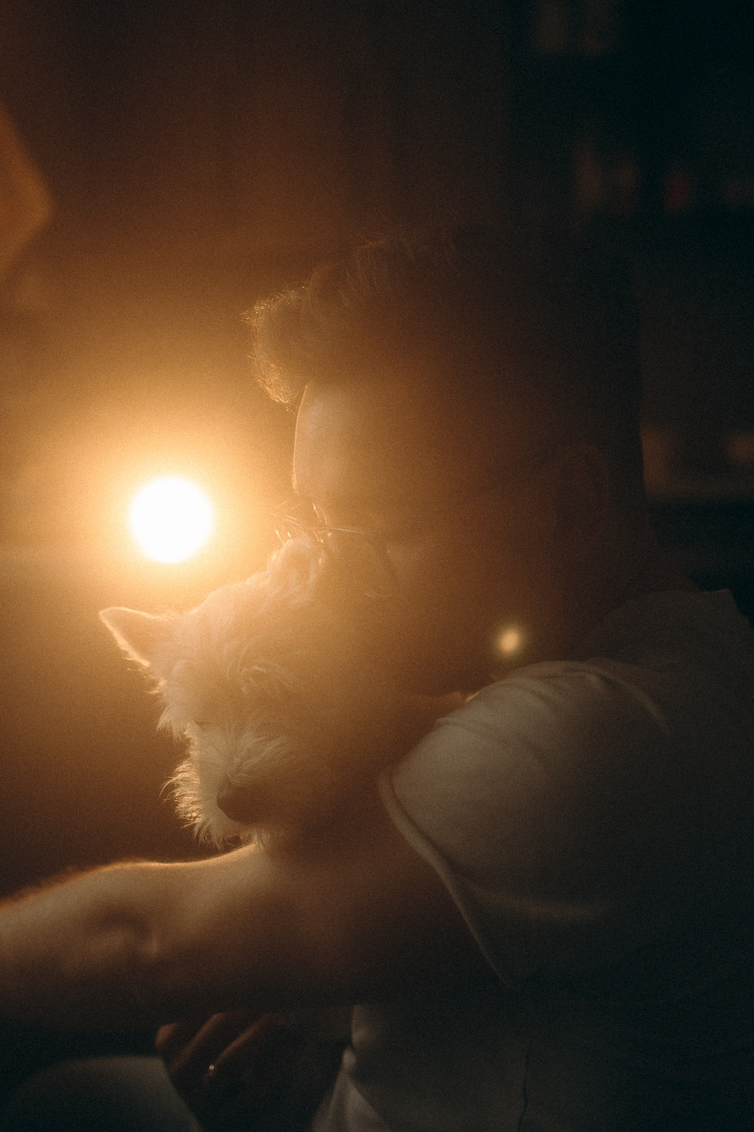 Снежуля, Мари и Саша. Фотограф анималист Анастасия Пикей