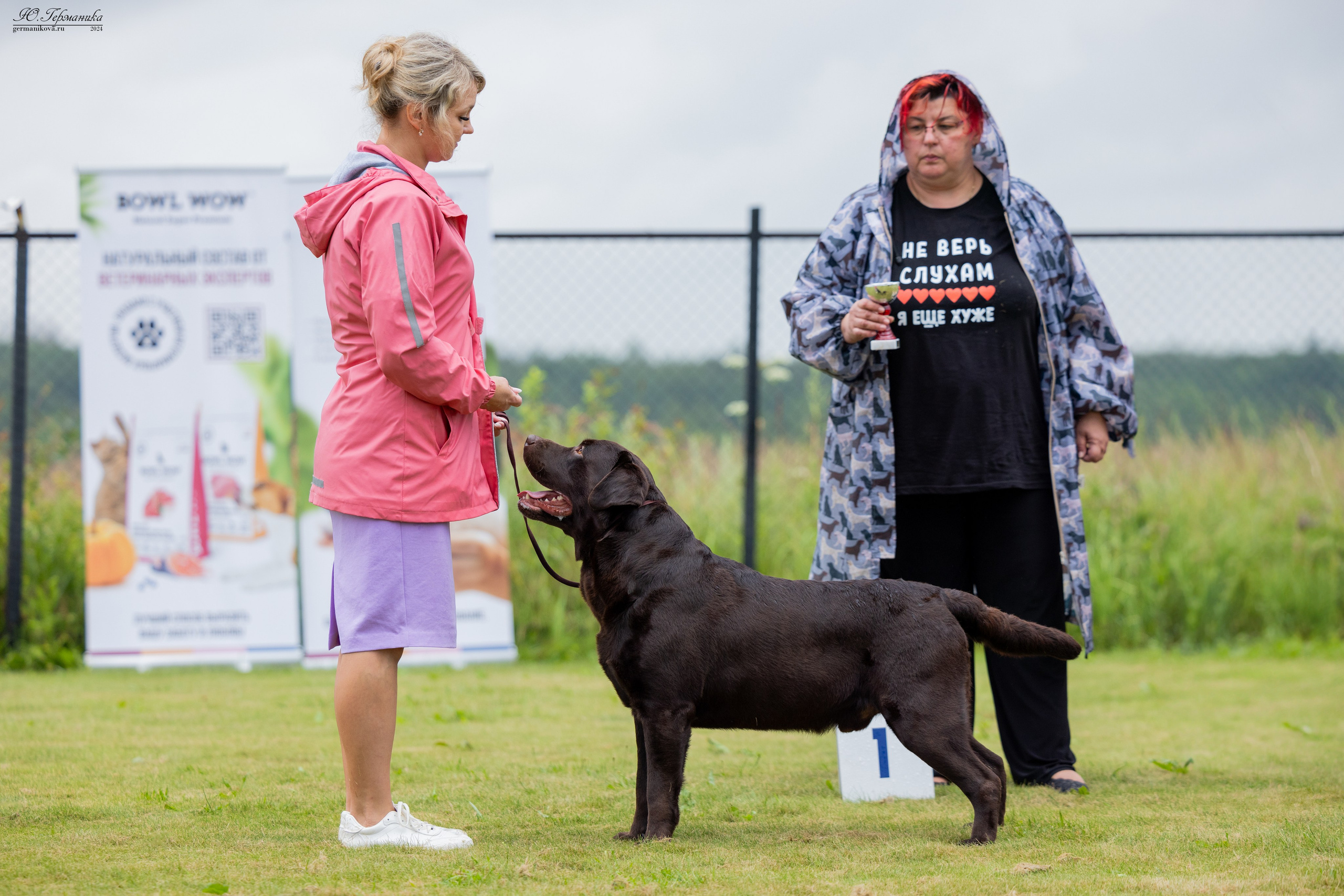 Ярославль 21.07.24 и Балашиха 13.07.24. Фотограф-анималист Юлия Германика