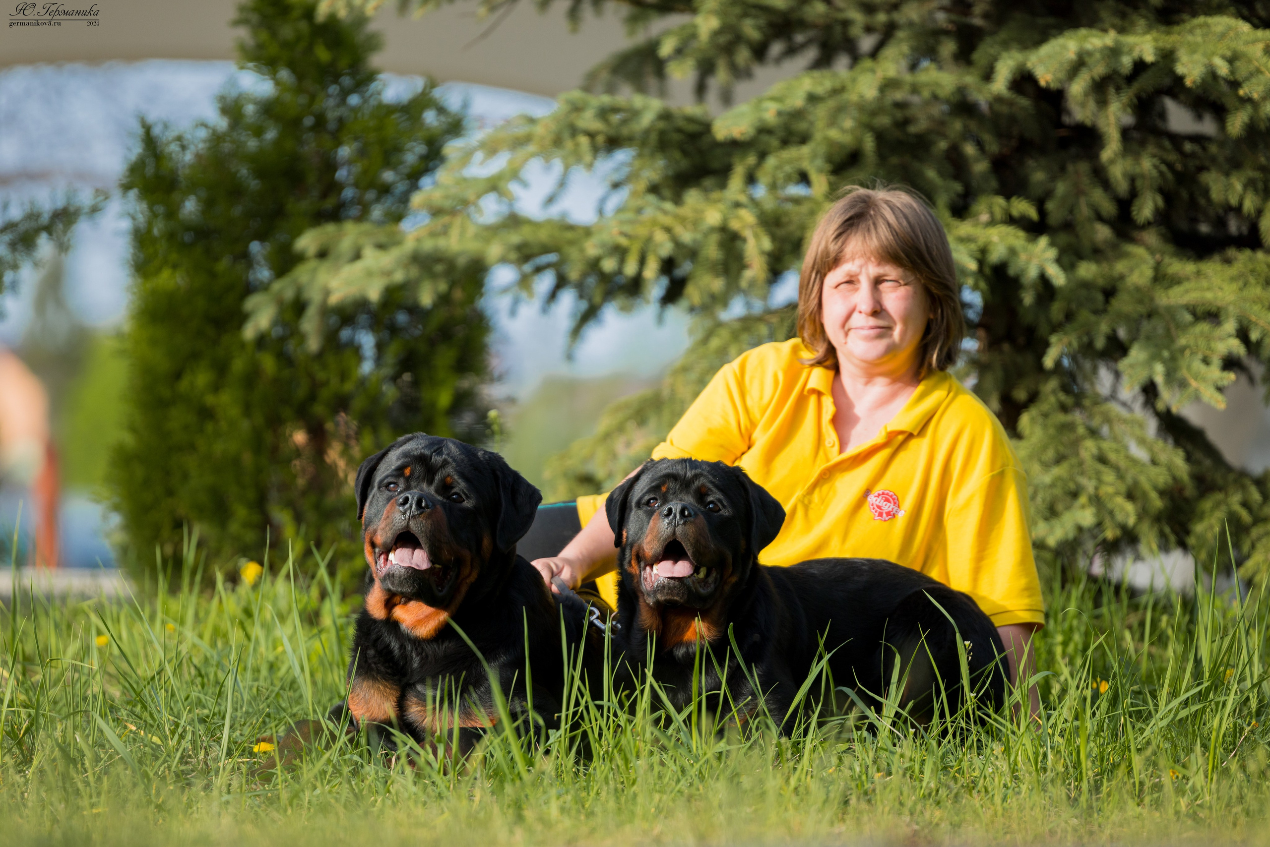 Саратов 2 х моно ротвейлеров 28-29.04.2024. Фотограф-анималист Юлия Германика