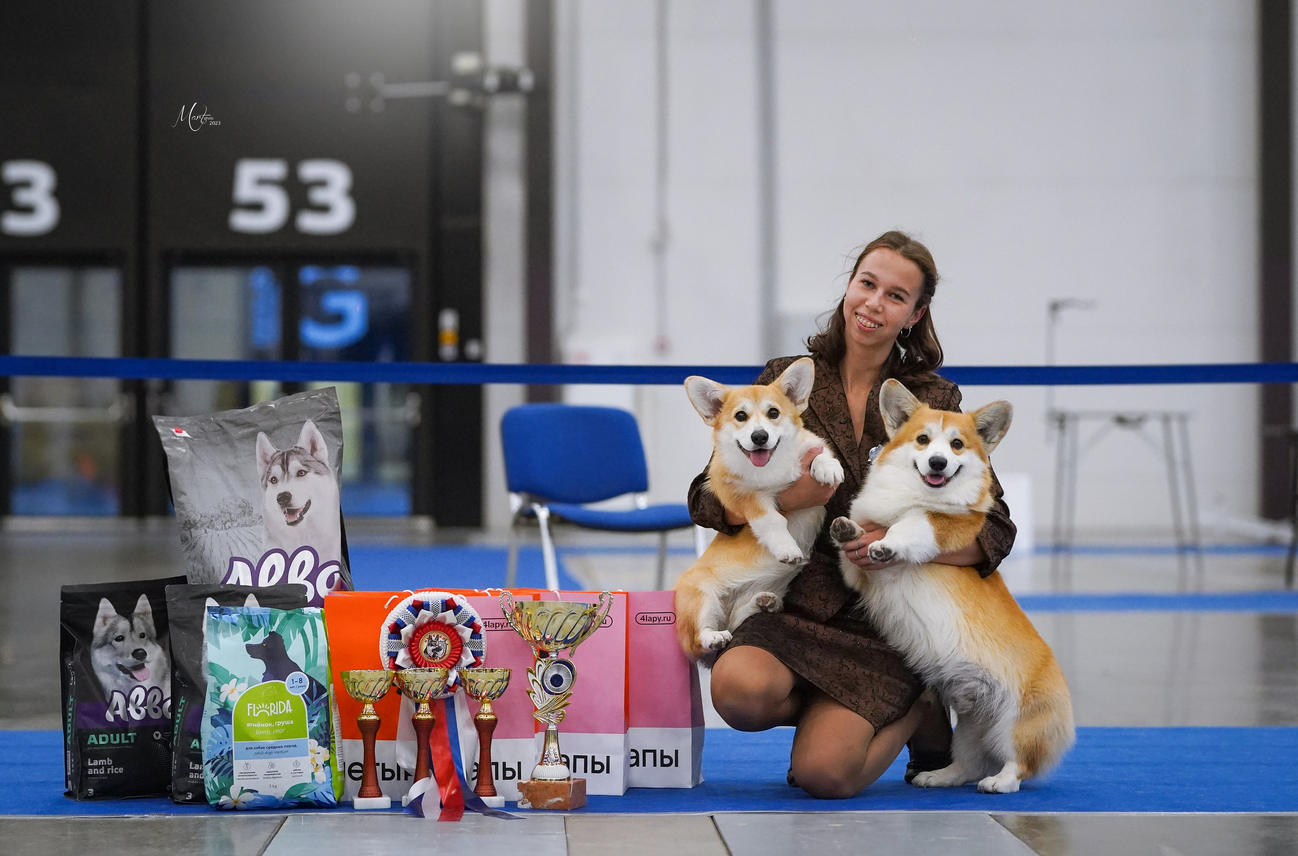 Выставки 2023. Фотограф-анималист в Санкт-Петербурге Яна Мартынова