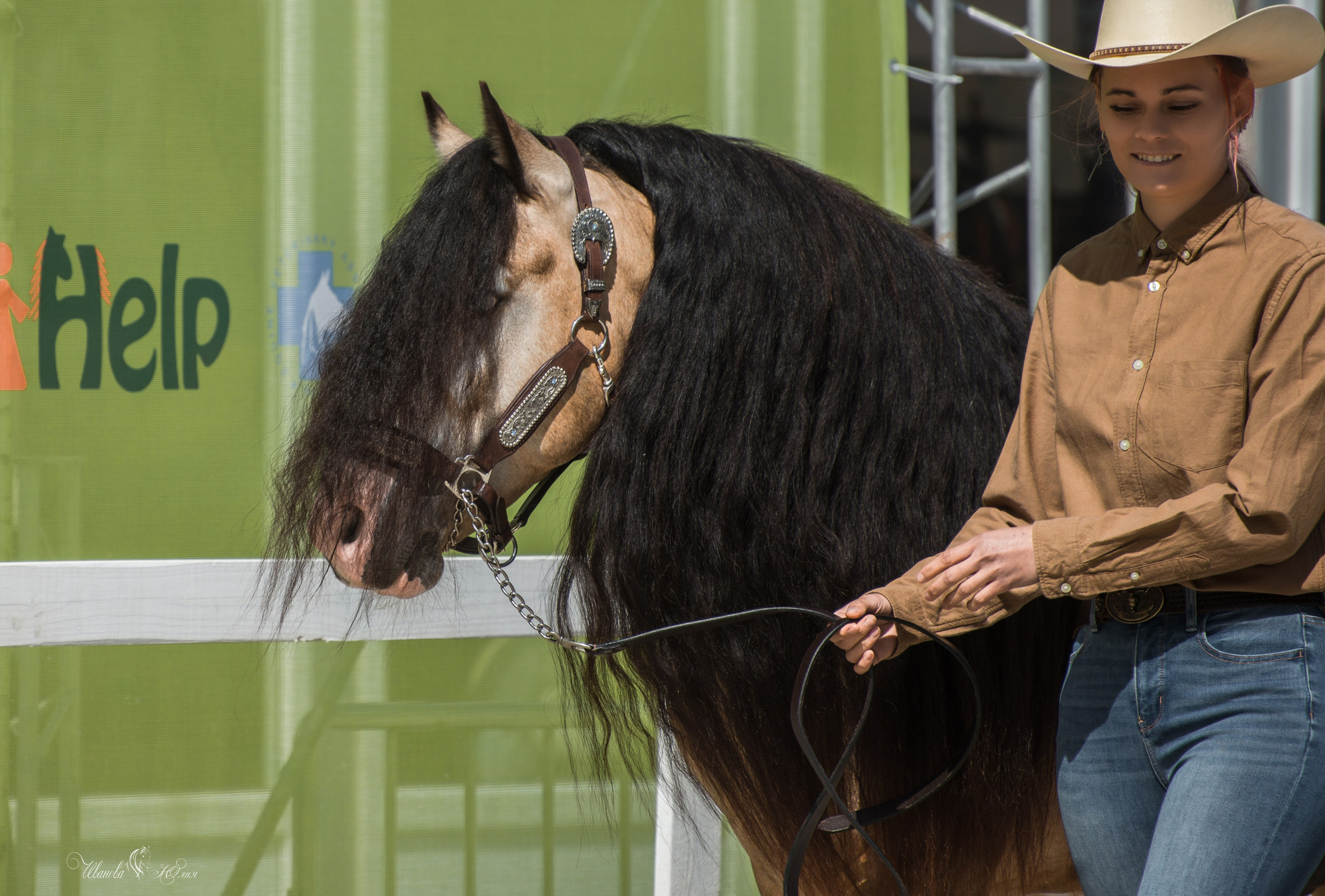 Эквирос, Москва. Конный фотограф в Саратове Юлия Иванова