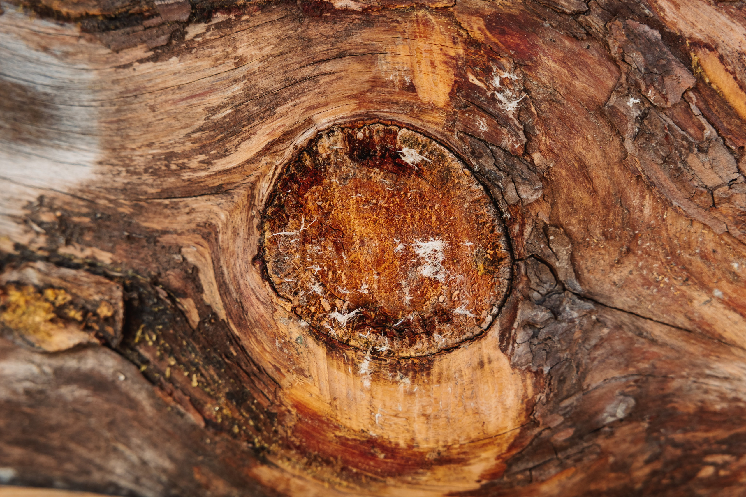 KUKSA|ТО, ЧТО ТЕБЯ СОГРЕВАЕТ|Кело-баня на дровах, г. Коломна. ФОТОГРАФ ИРИНА ШАМАТАВА