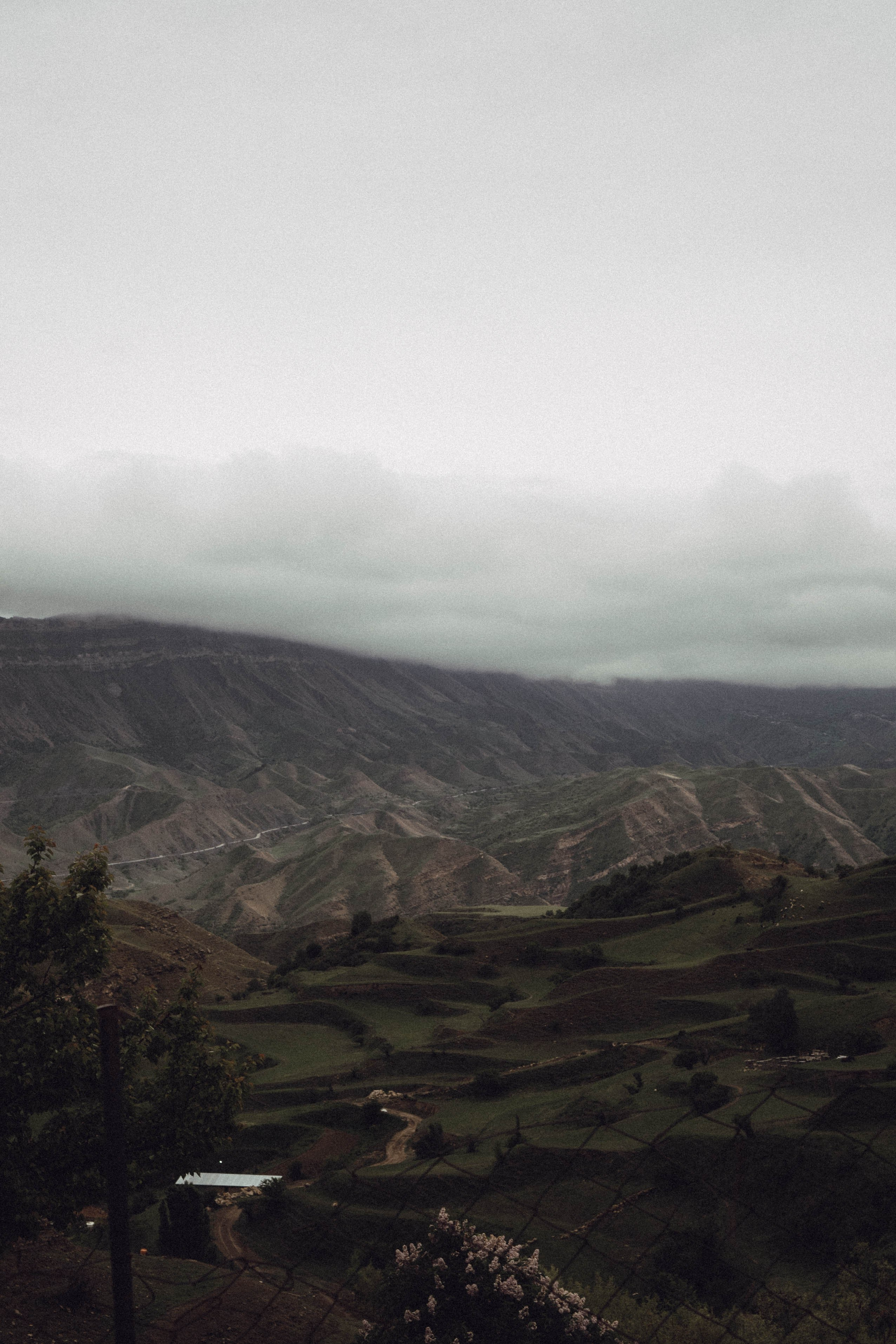 Кавказ. Профессиональный фотограф, Санкт-Петербург — Виктория Богомолова