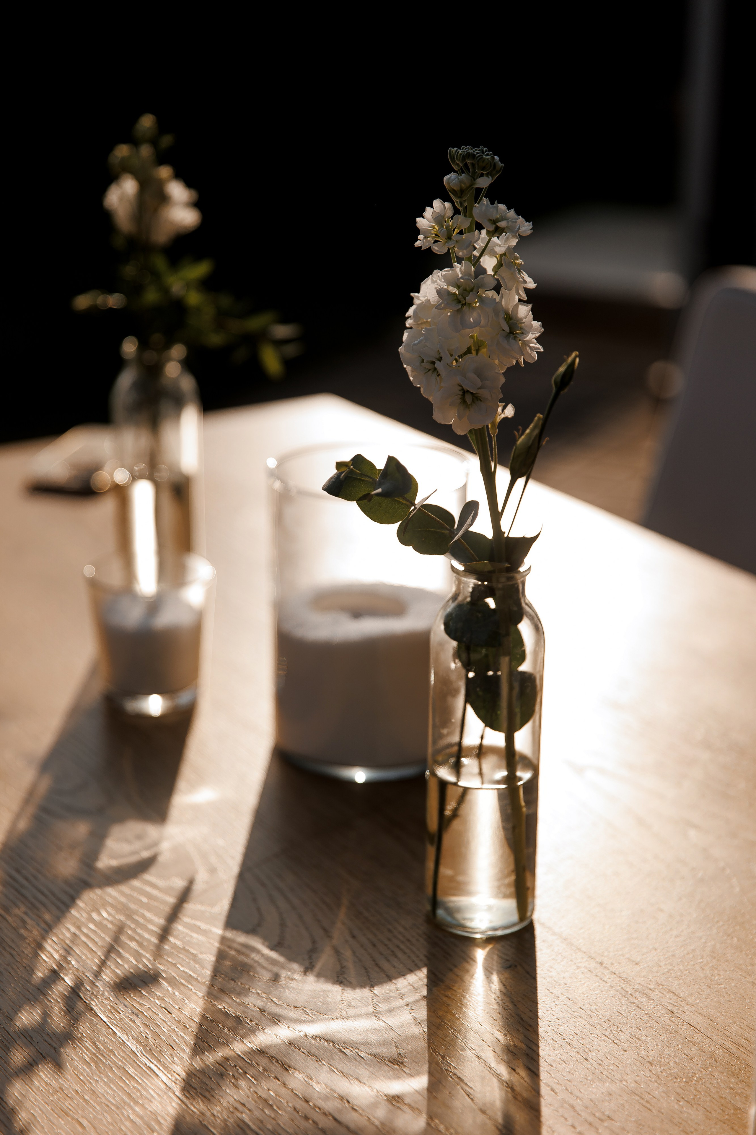 V+T. Свадебный фотограф Каледич Тимофей