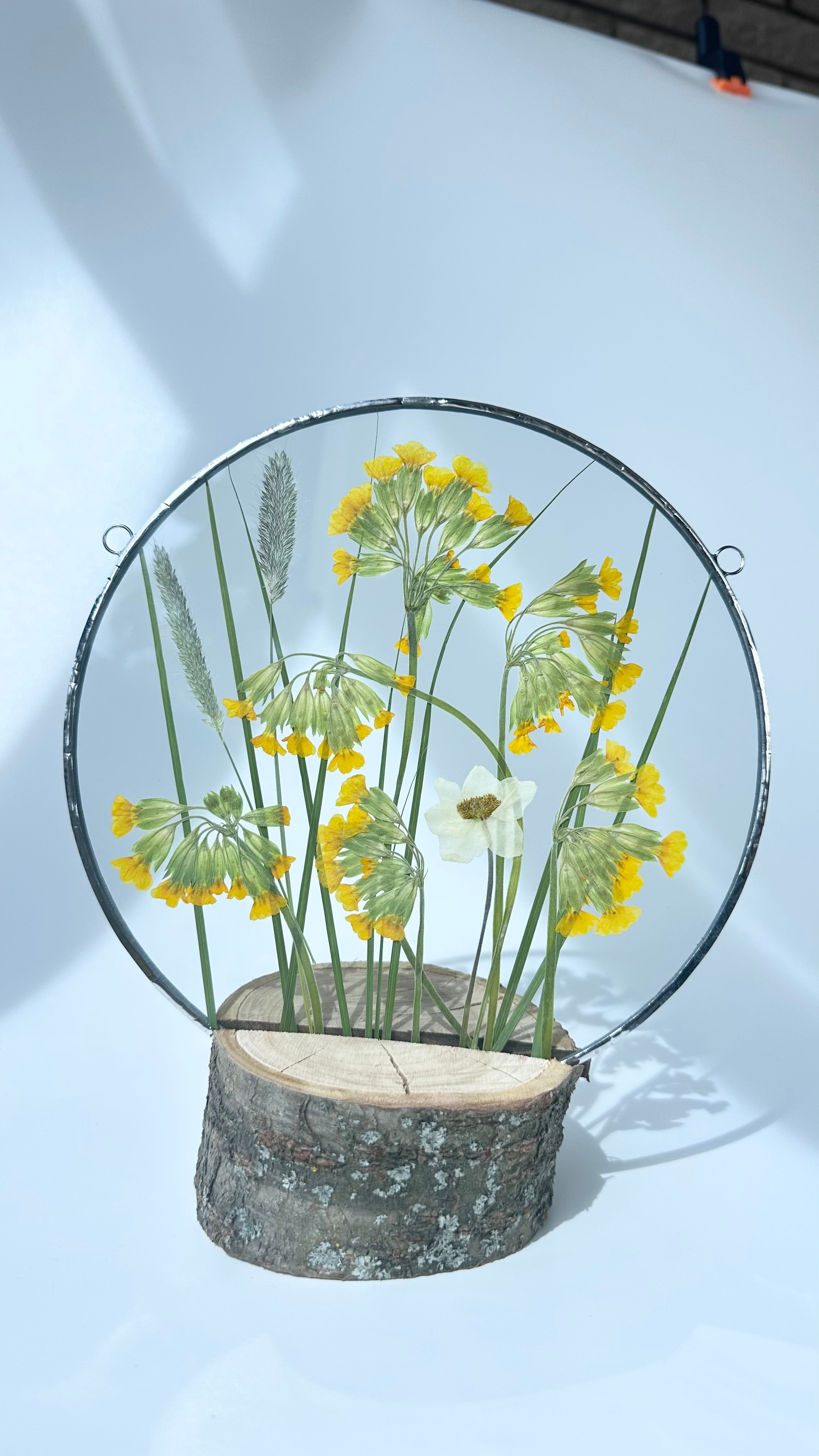 Сухоцветы под стеклом (витраж гербарий техника тиффани). Гербарий в стекле, интерьерные панно, витражи с сухоцветами в технике тиффани