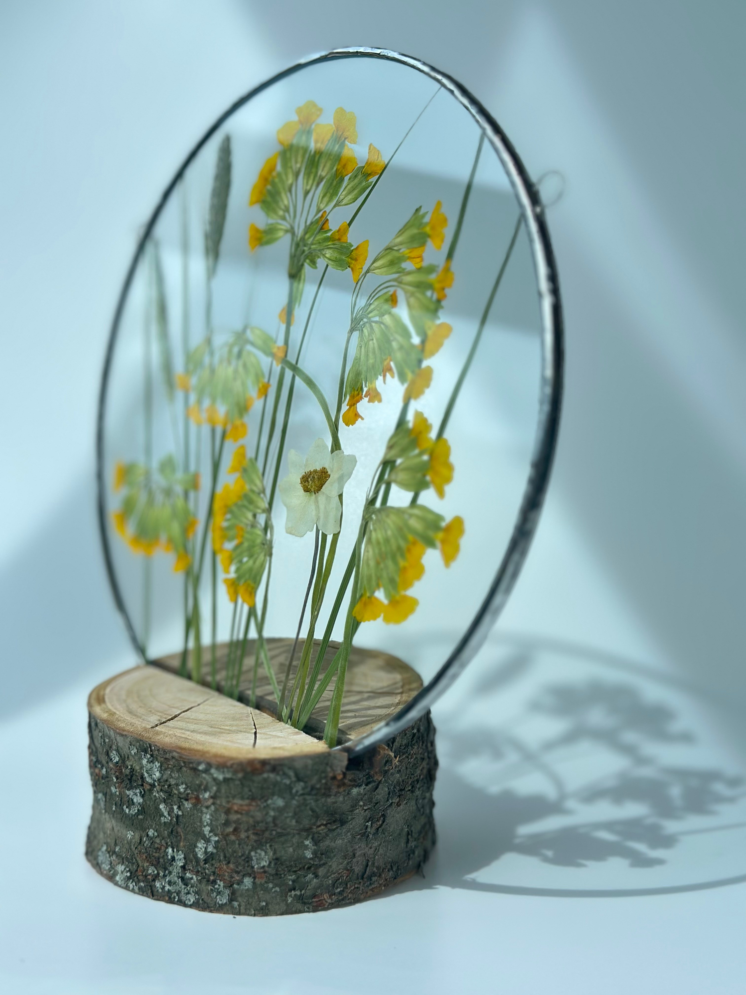 Сухоцветы под стеклом (витраж гербарий техника тиффани). Гербарий в стекле, интерьерные панно, витражи с сухоцветами в технике тиффани