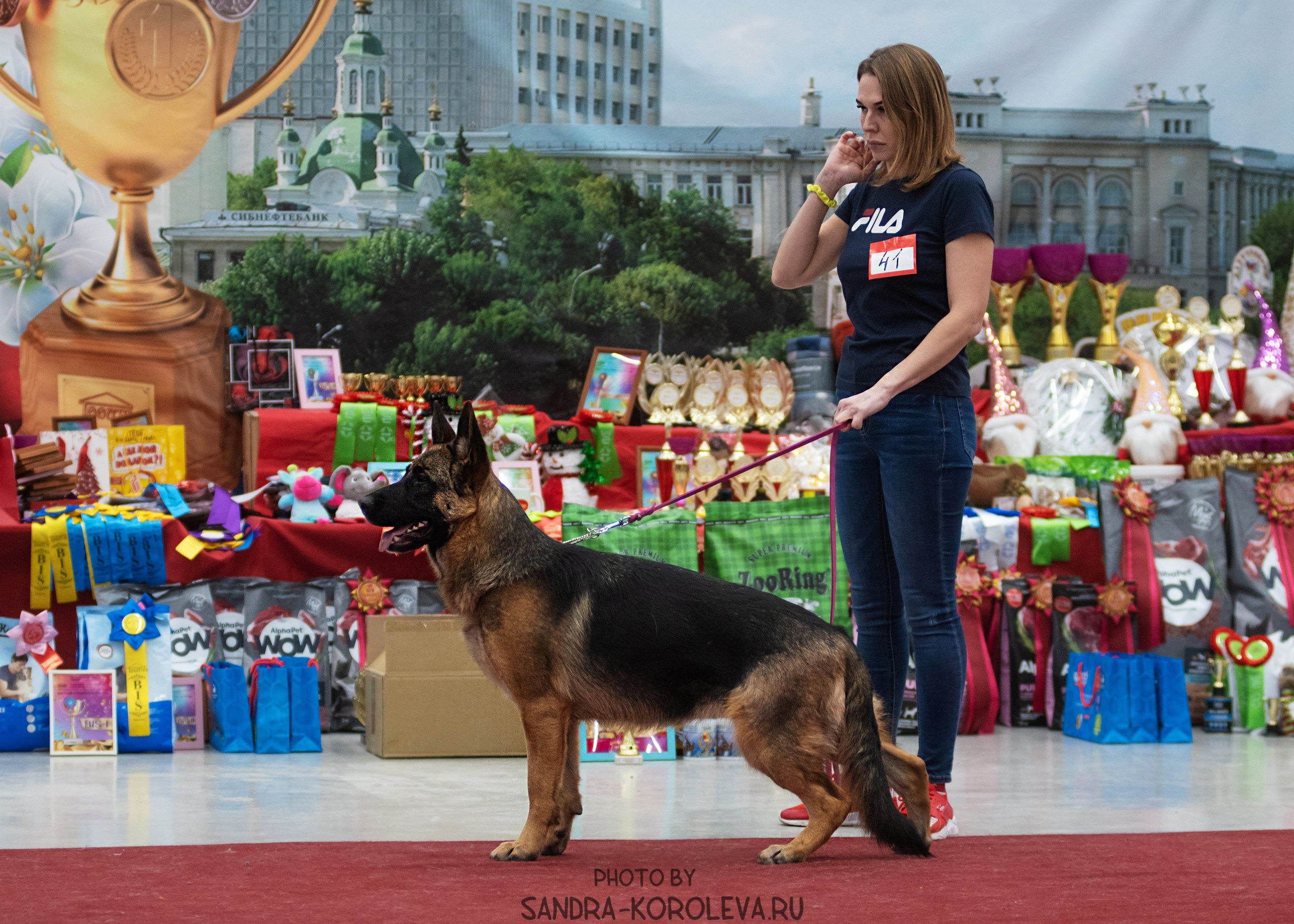 Выставка собак тюмень 10.12.2022. Дог-фотограф в Тюмени Александра Королева