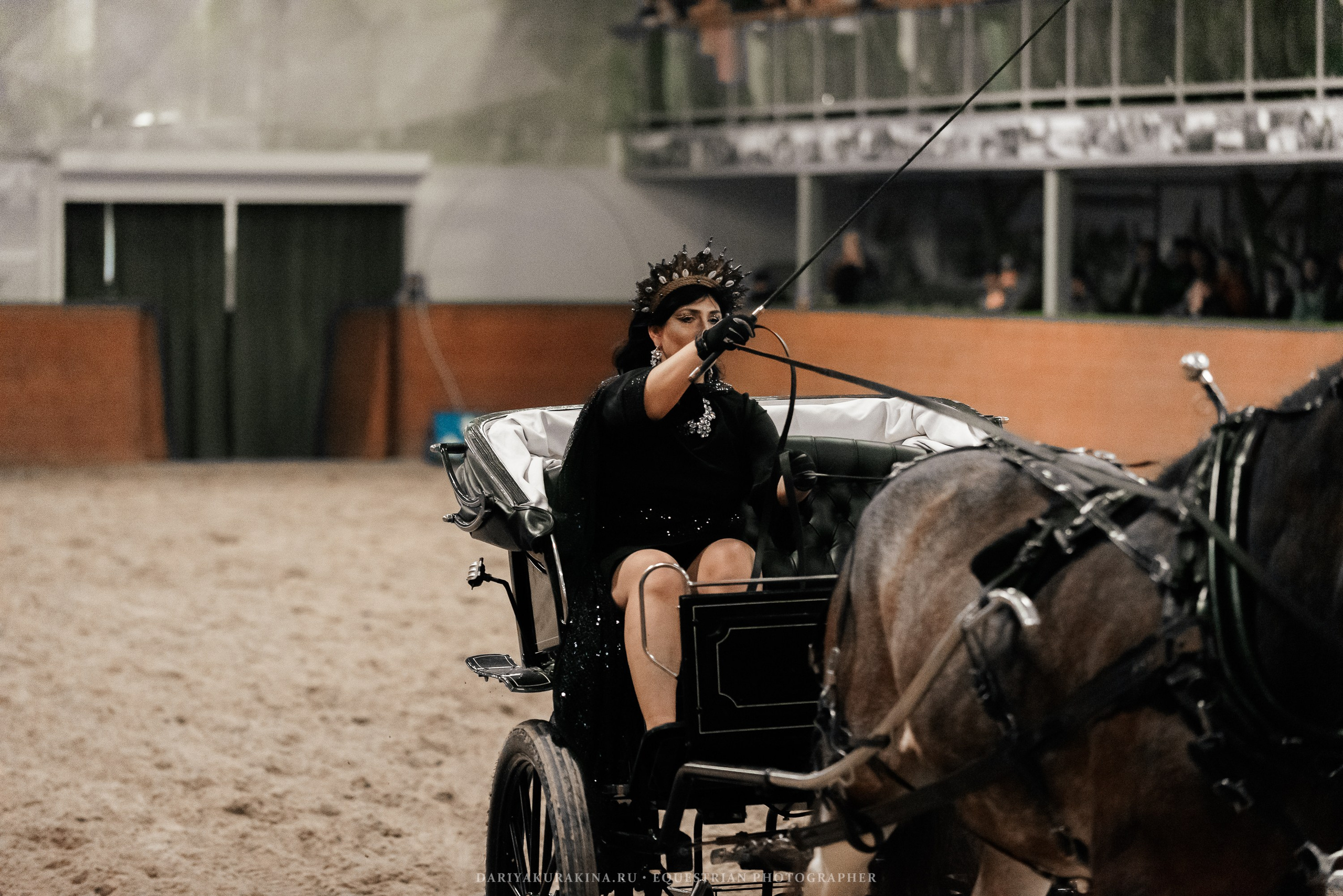 Конное представление «Дыхание Звёзд». Конный фотограф Куракина Дарья • Фотосессии с лошадьми