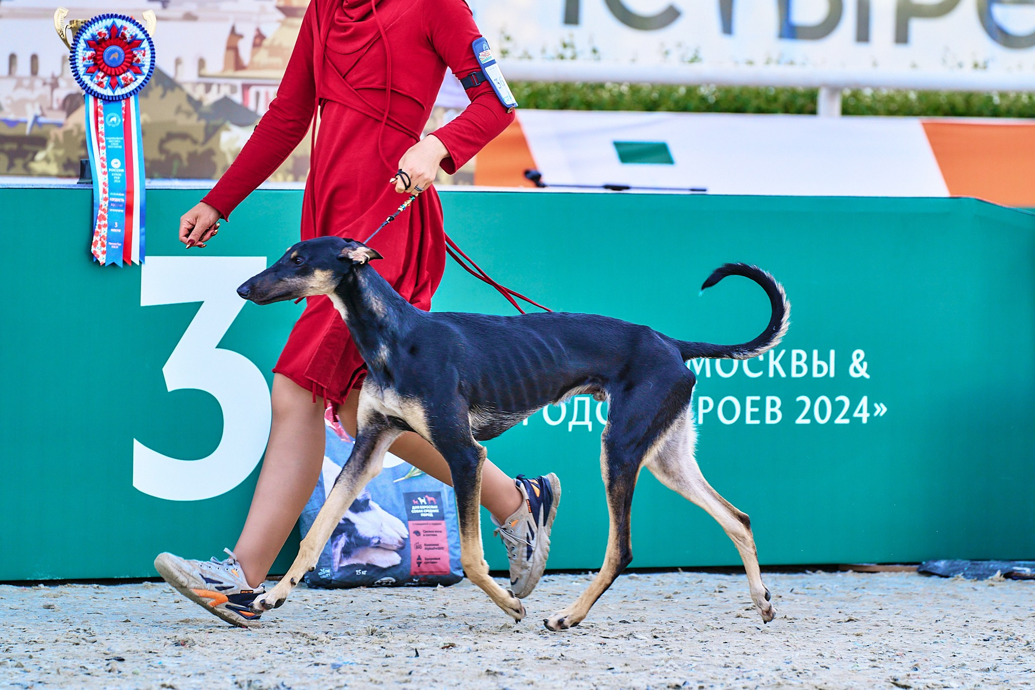 08.06.2024 «РОССИЯ. КУБОК РКФ 2024»