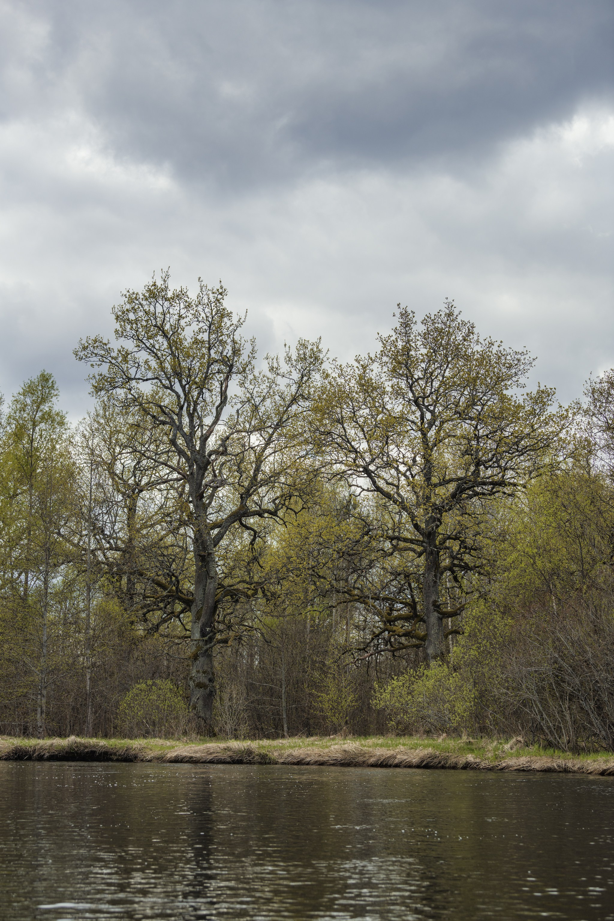 Водный поход 1-й кс по реке Случь. Репортажный фотограф Владимир Беляй
