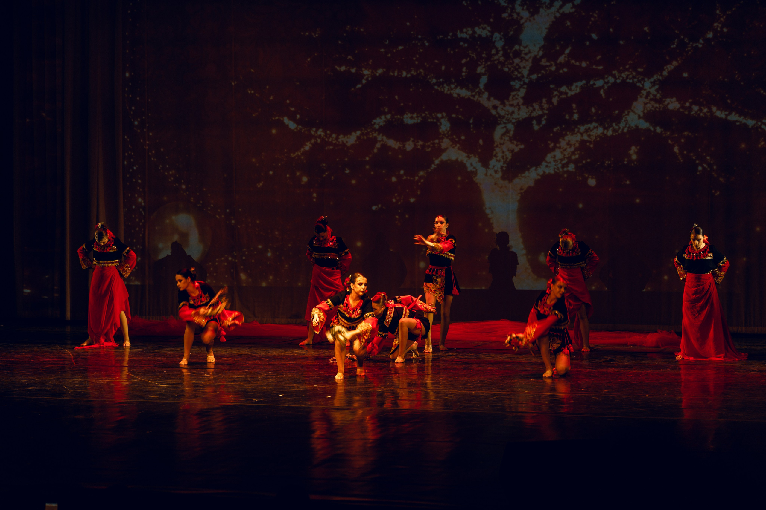 Гала-концерт «Путь к мечте». Tatyana Dubova. Portrait and Family Photographer, Saint Petersburg