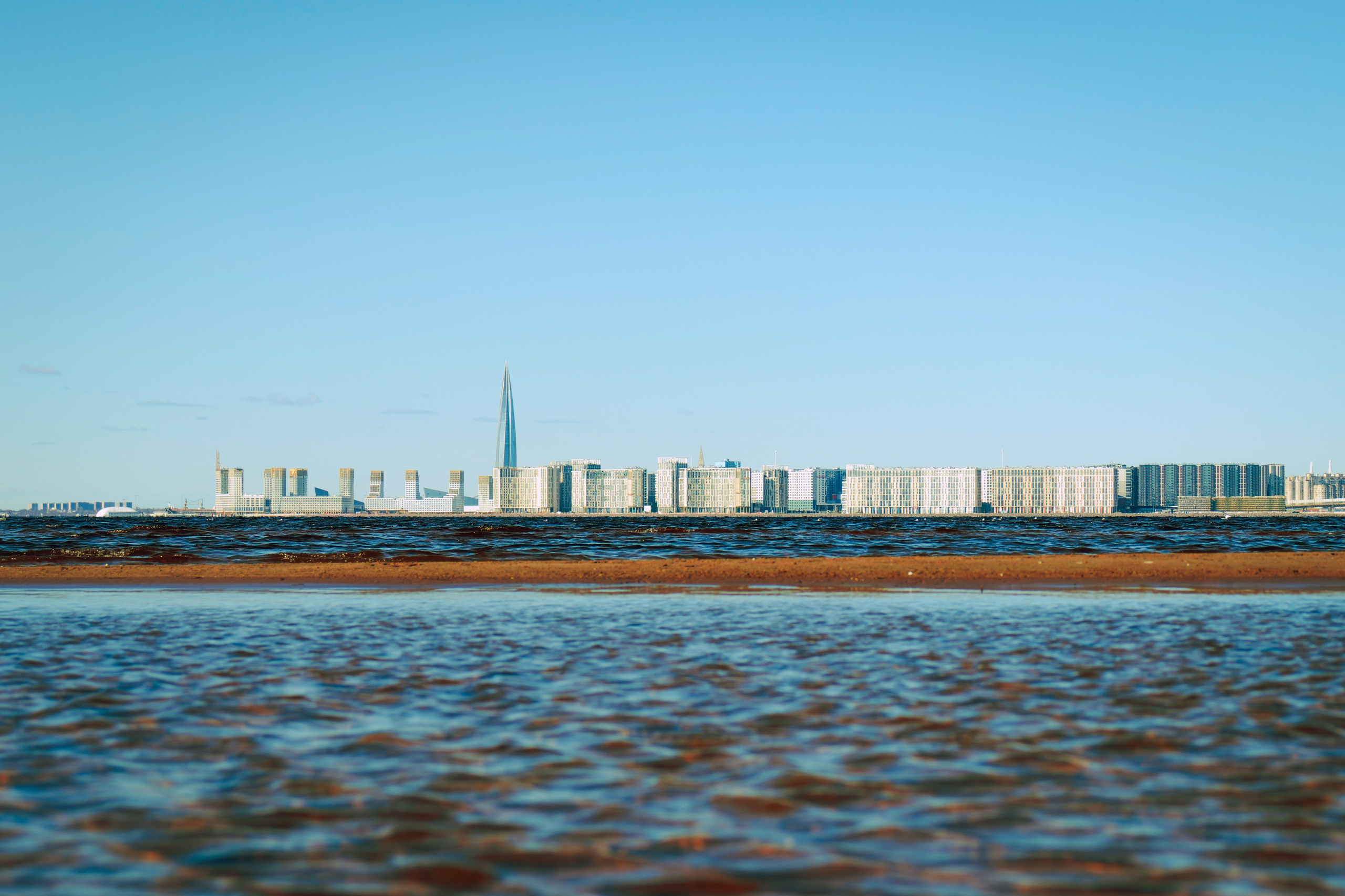 Из наблюдений. Плак или Квак