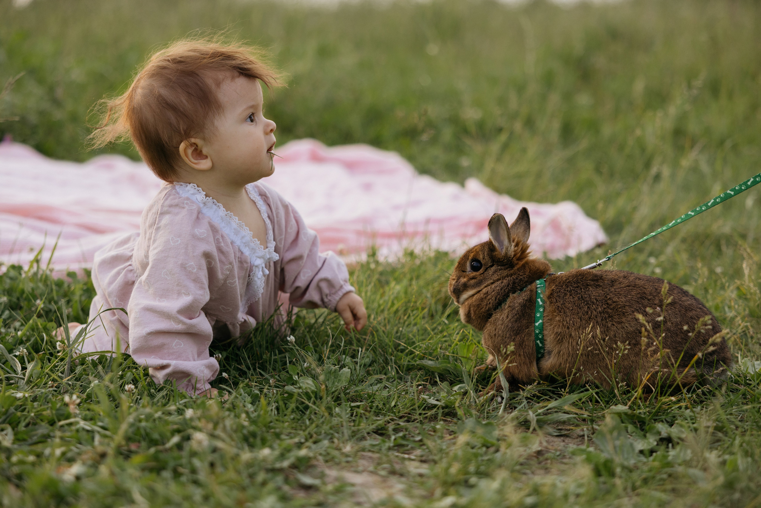 Песни и самолеты. Свадебный фотограф в Москве Полина Лелетко
