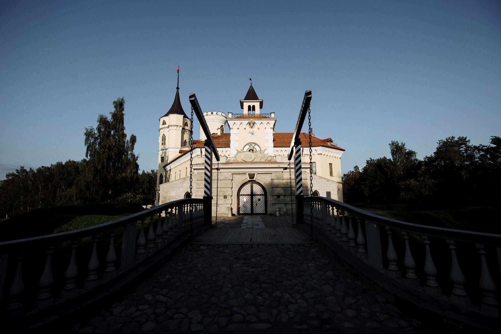 Алина и Александр. Лиза Каражова