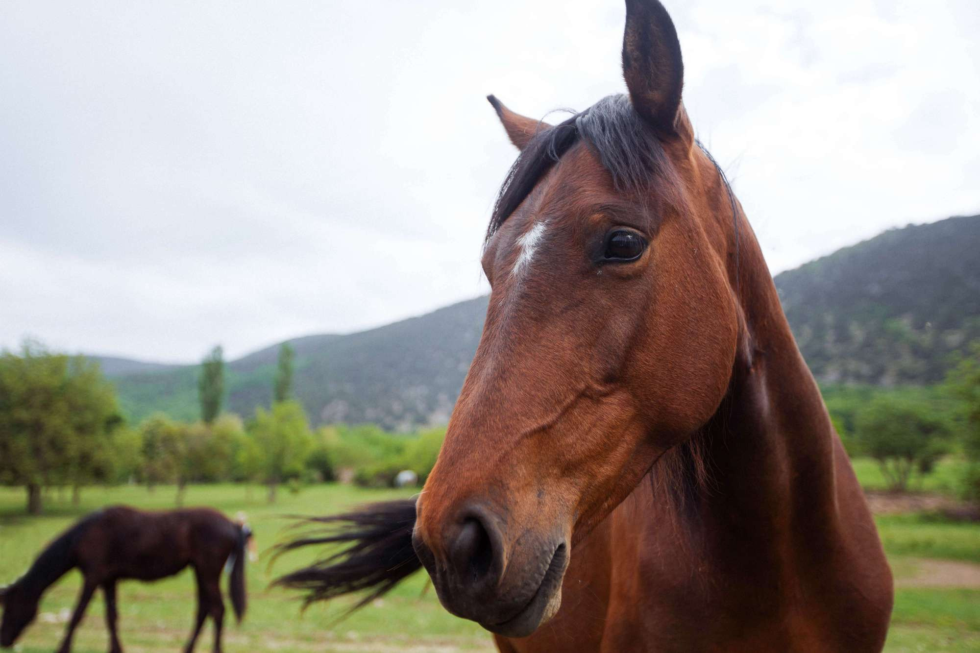 Стас и Настя (Крым). Лиза Каражова