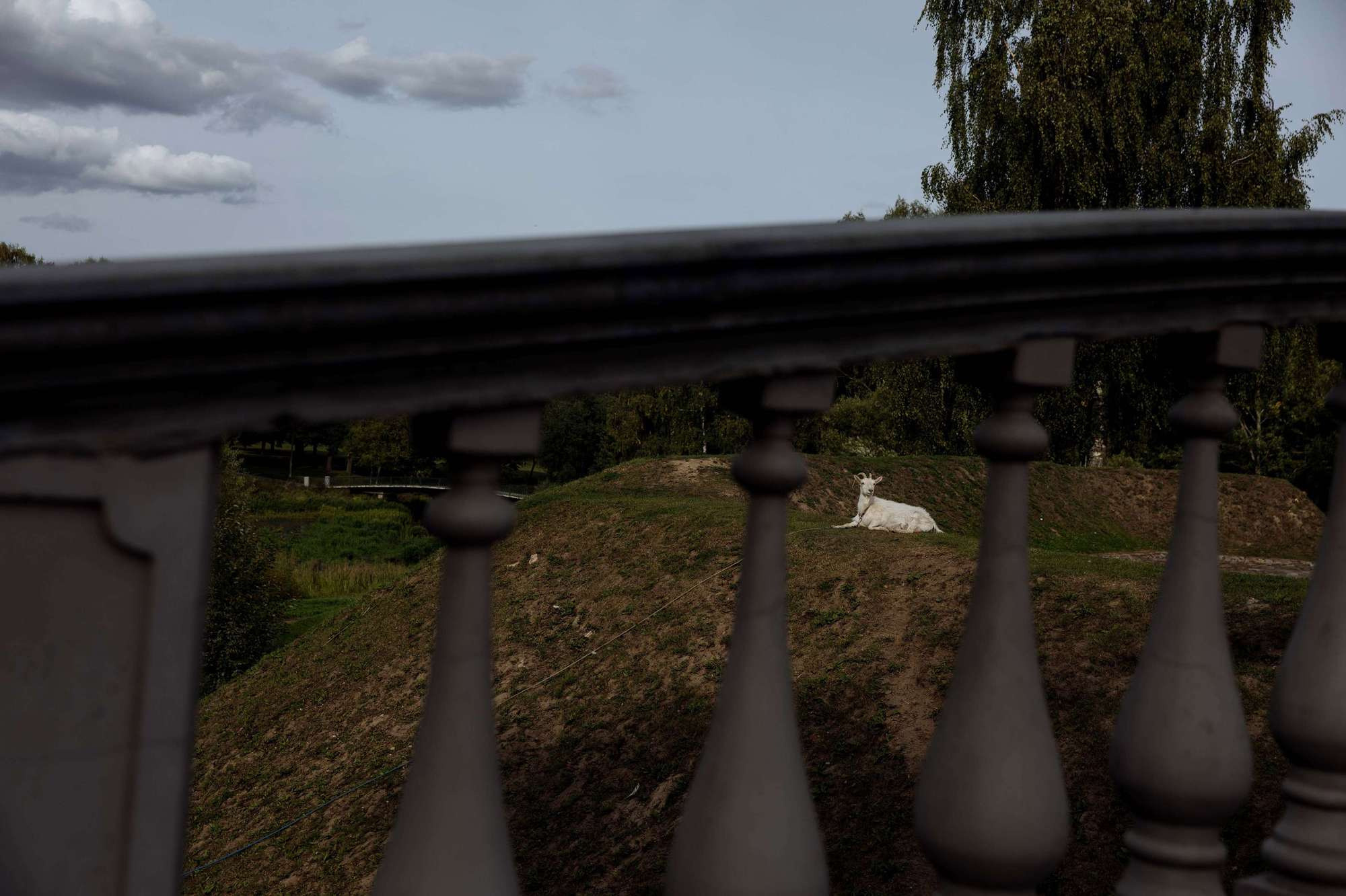 Настя и Вадим. Лиза Каражова