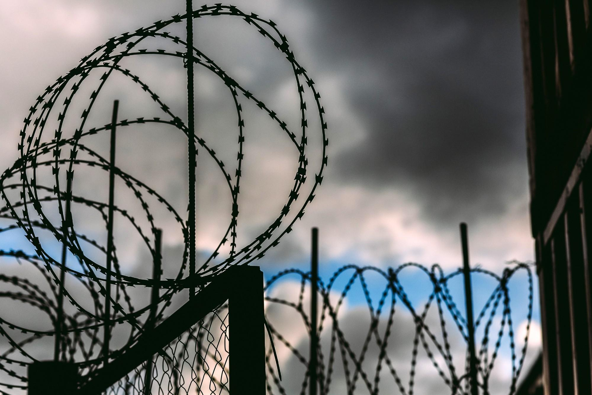 Радмилла и Даня. Лиза Каражова