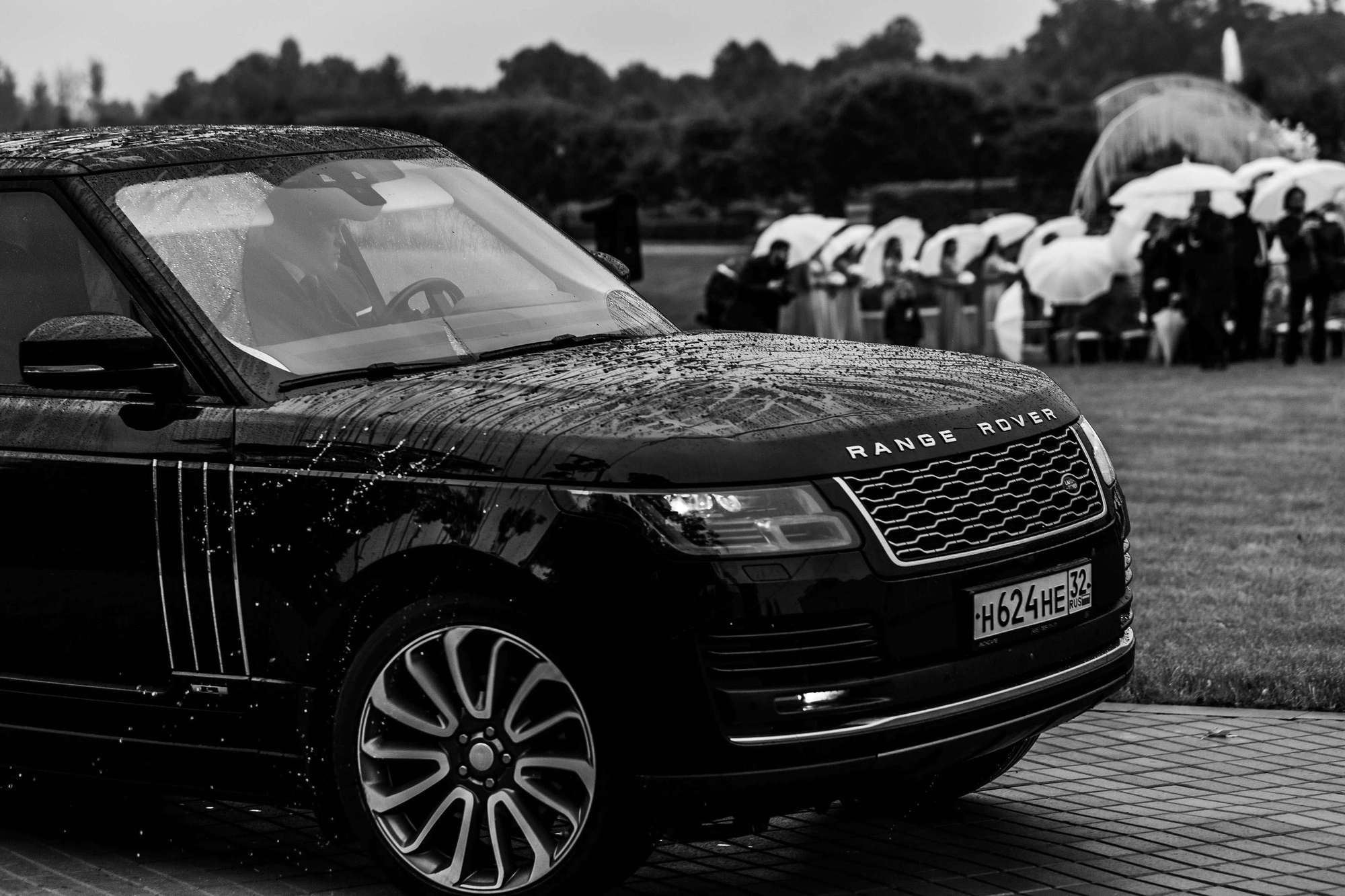 Анастасия и Дмитрий. Лиза Каражова