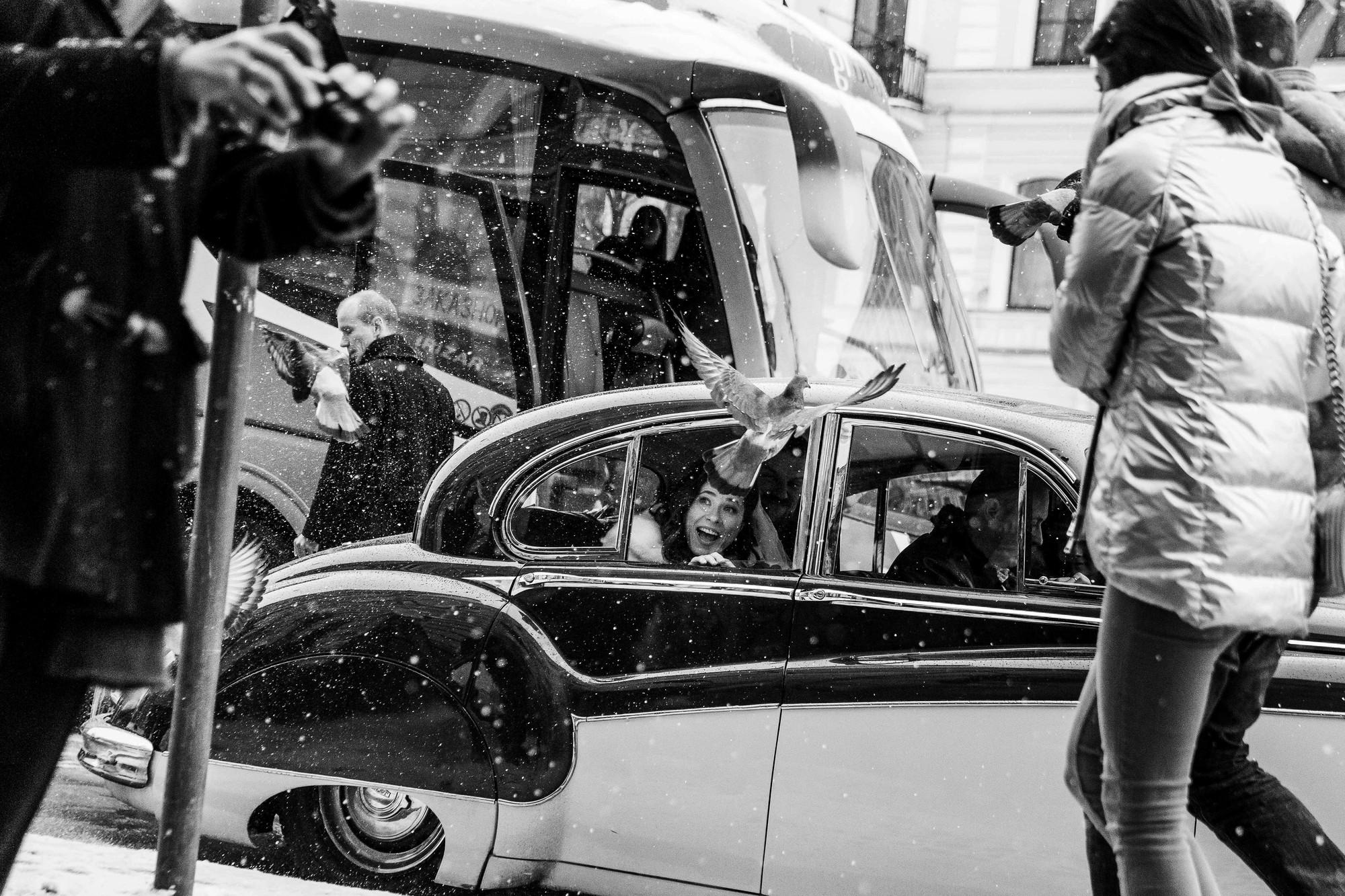 Люба и Дэвид (Бельгийцы в Питере). Лиза Каражова