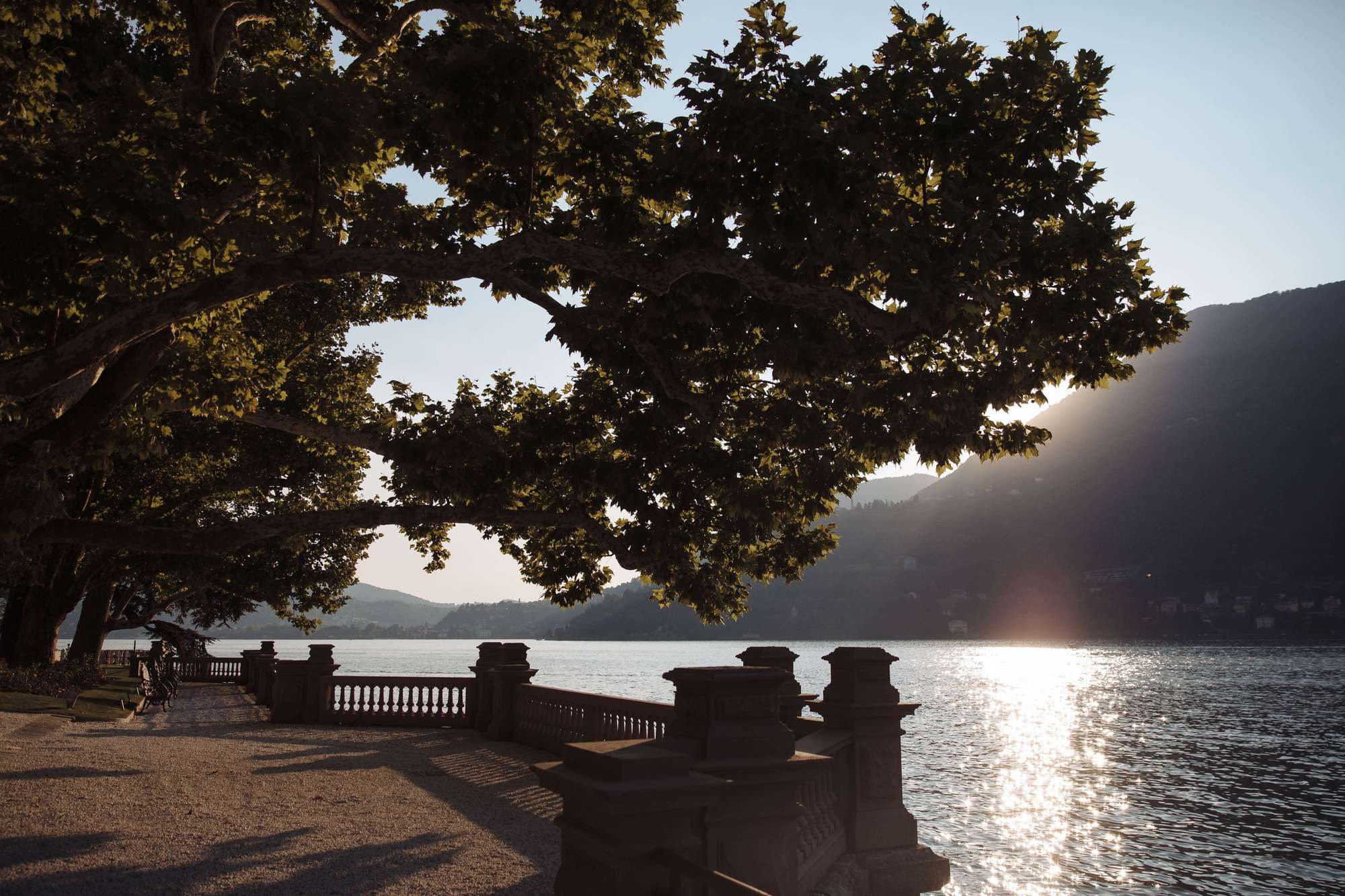 Евгений и Ксения (Комо). Лиза Каражова