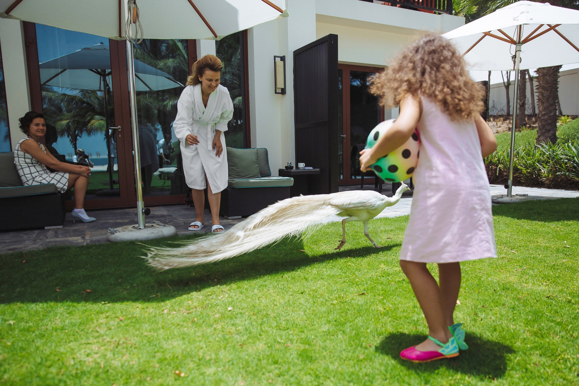 Роб и Катя (Дубай). Лиза Каражова