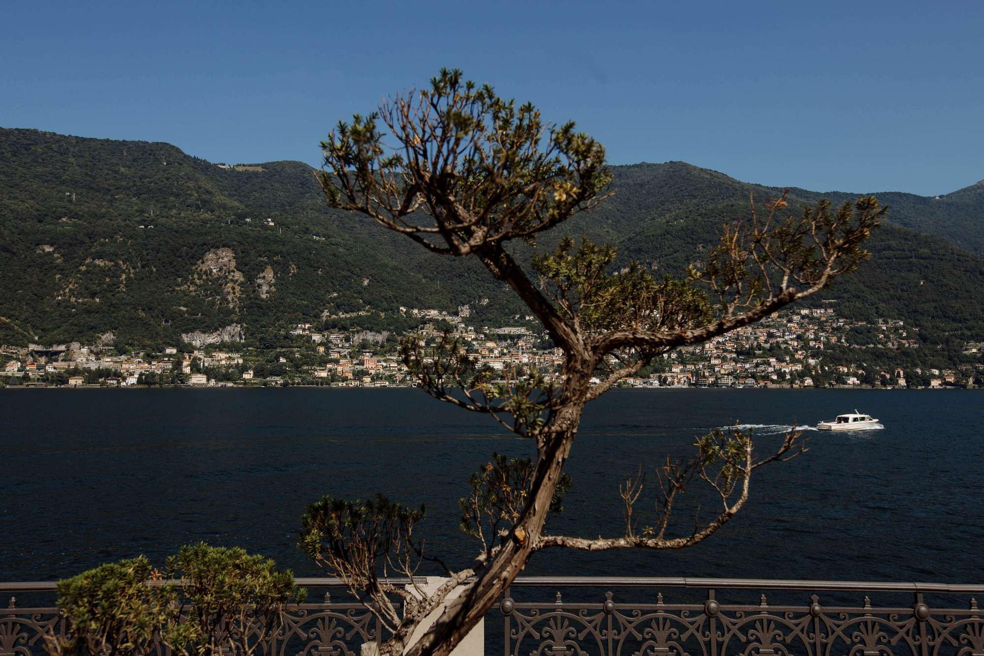 Евгений и Ксения (Комо). Лиза Каражова