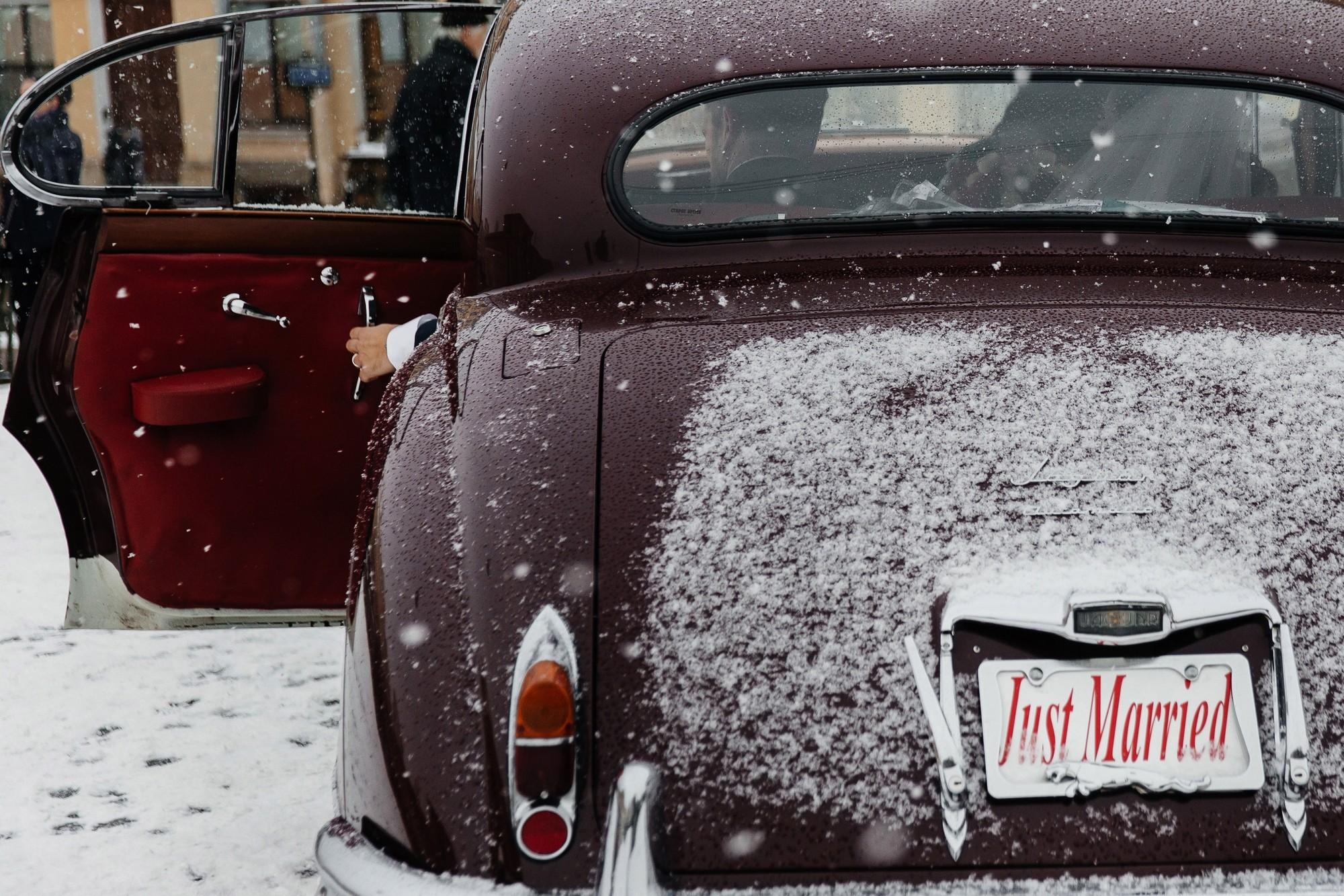 Люба и Дэвид (Бельгийцы в Питере). Лиза Каражова