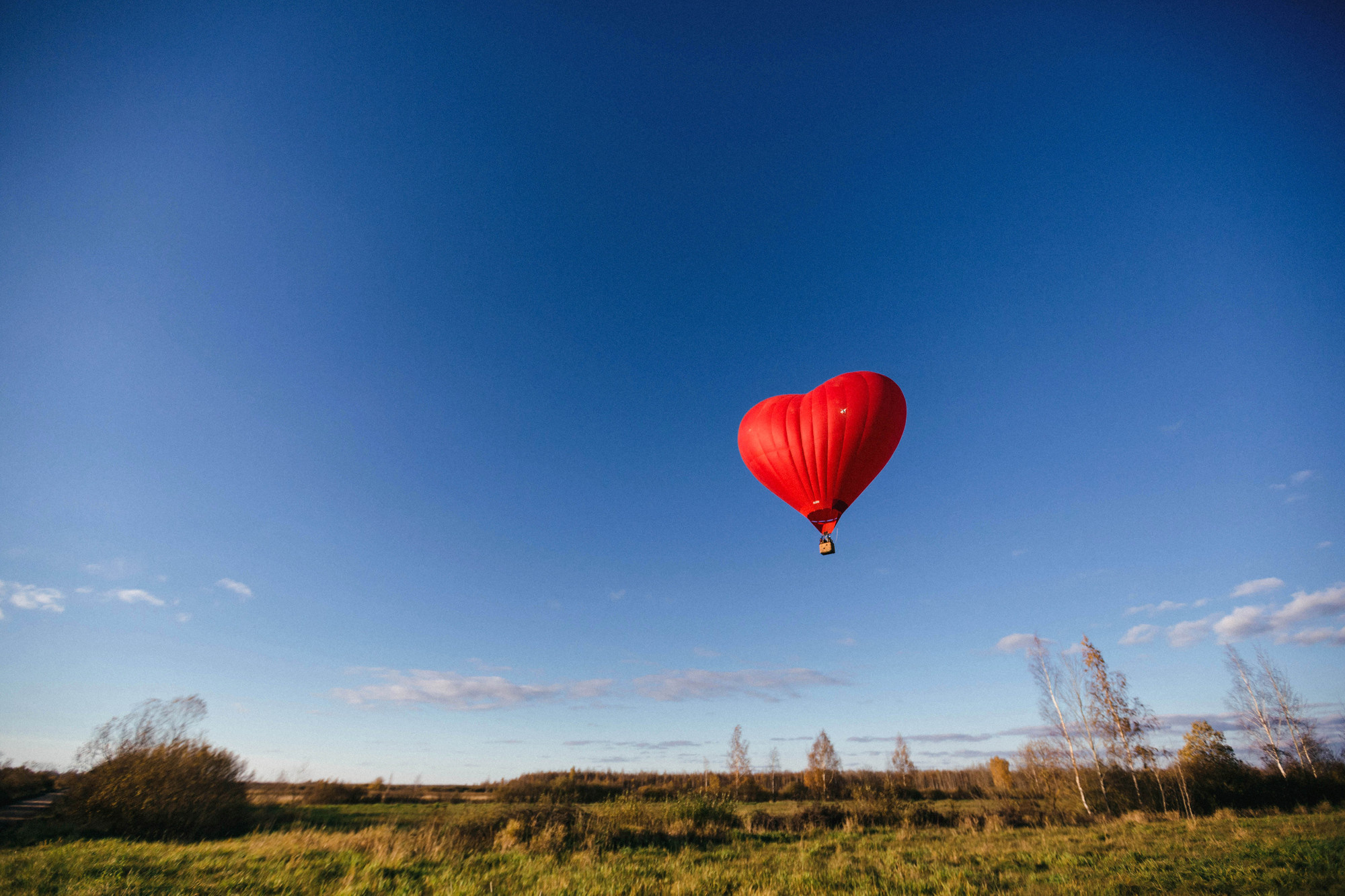 Радмилла и Даня. Лиза Каражова
