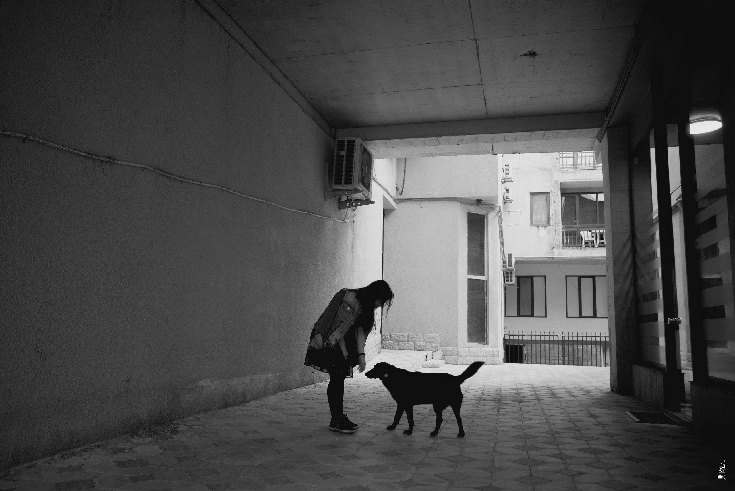 Ana Stasia. Портретный фотограф Денис Милютин