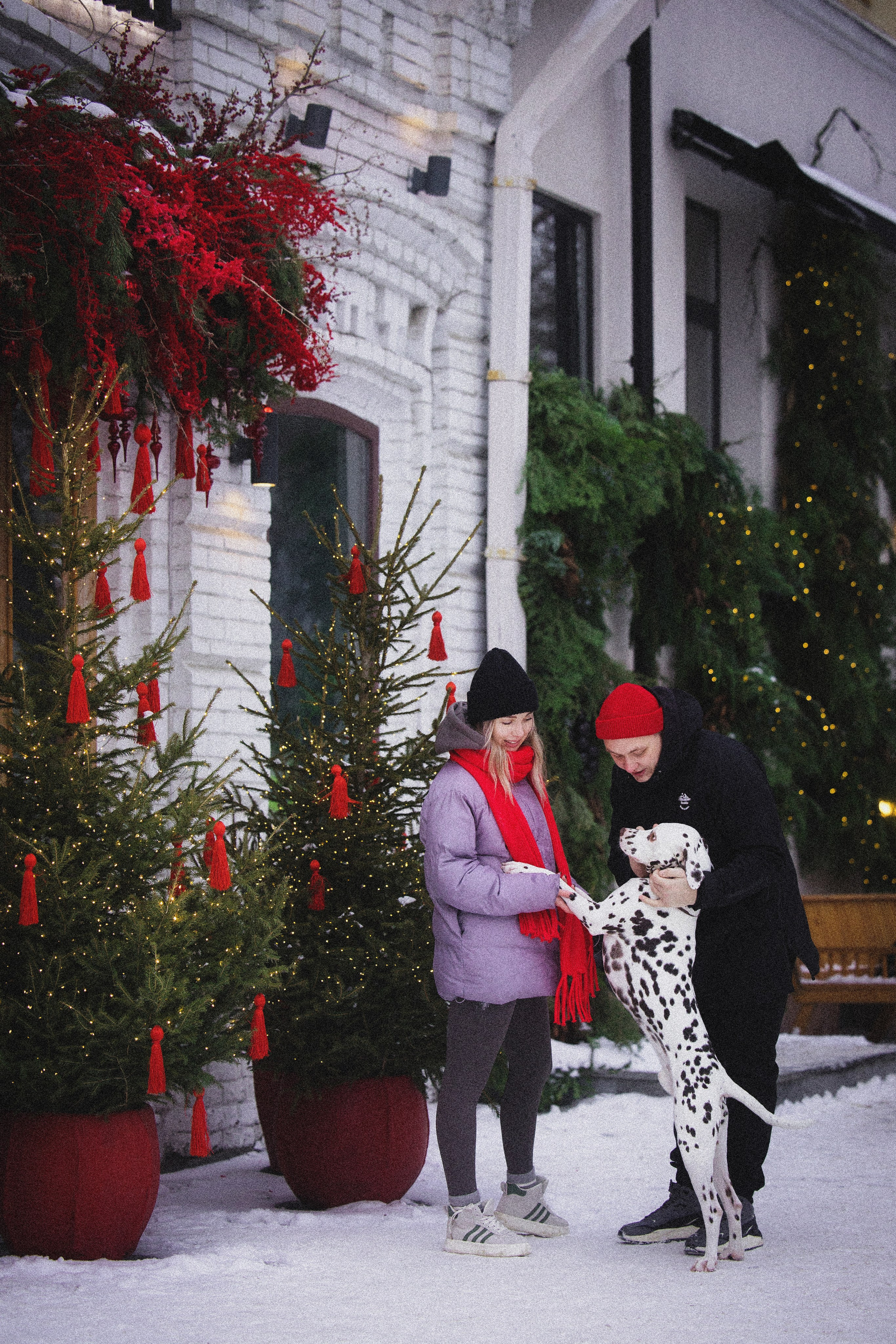 Портфолио. Фотограф-анималист в Екатеринбурге Марина Шишкина