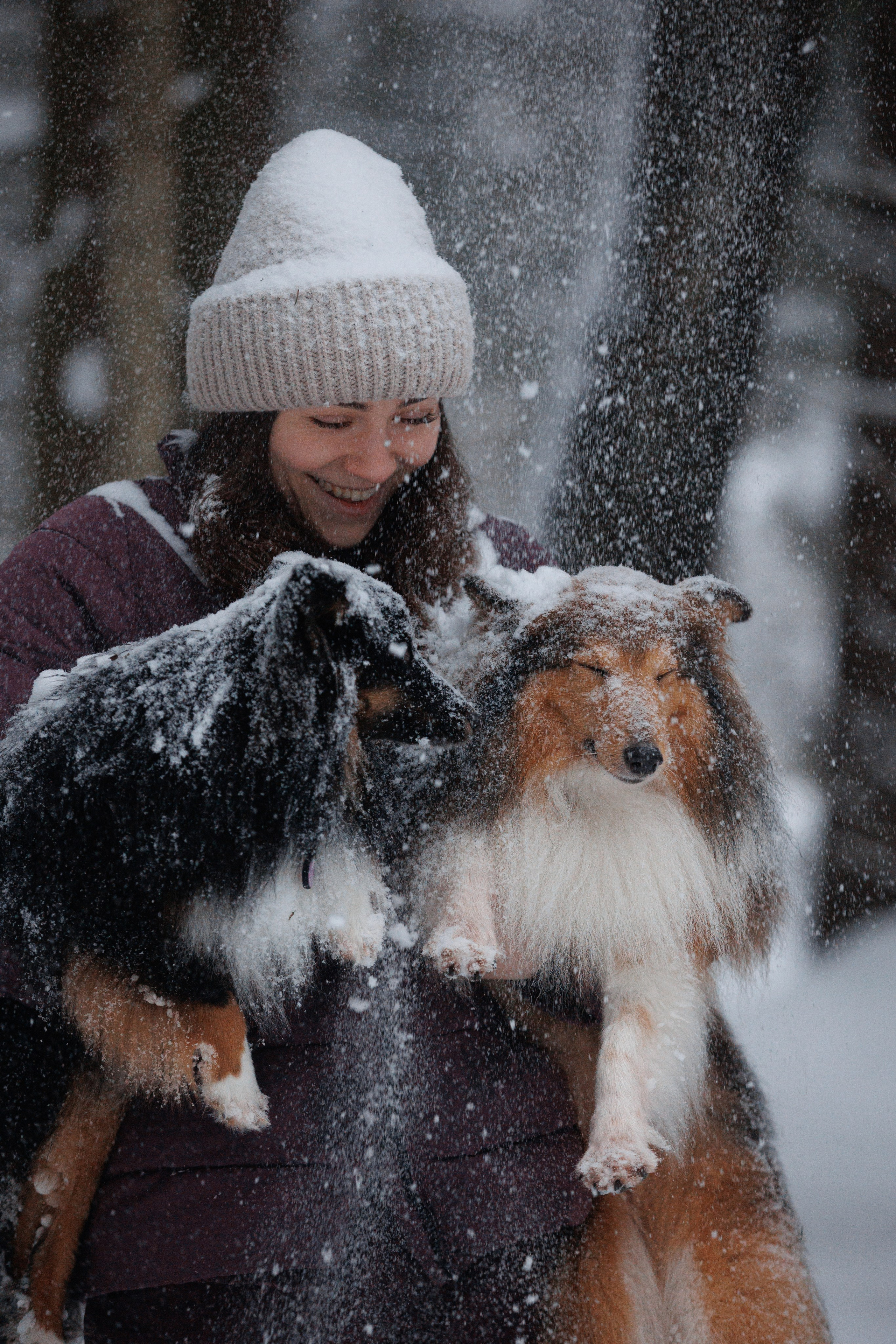 Даша и компания. Фотограф анималист Кристина Карпова, Москва
