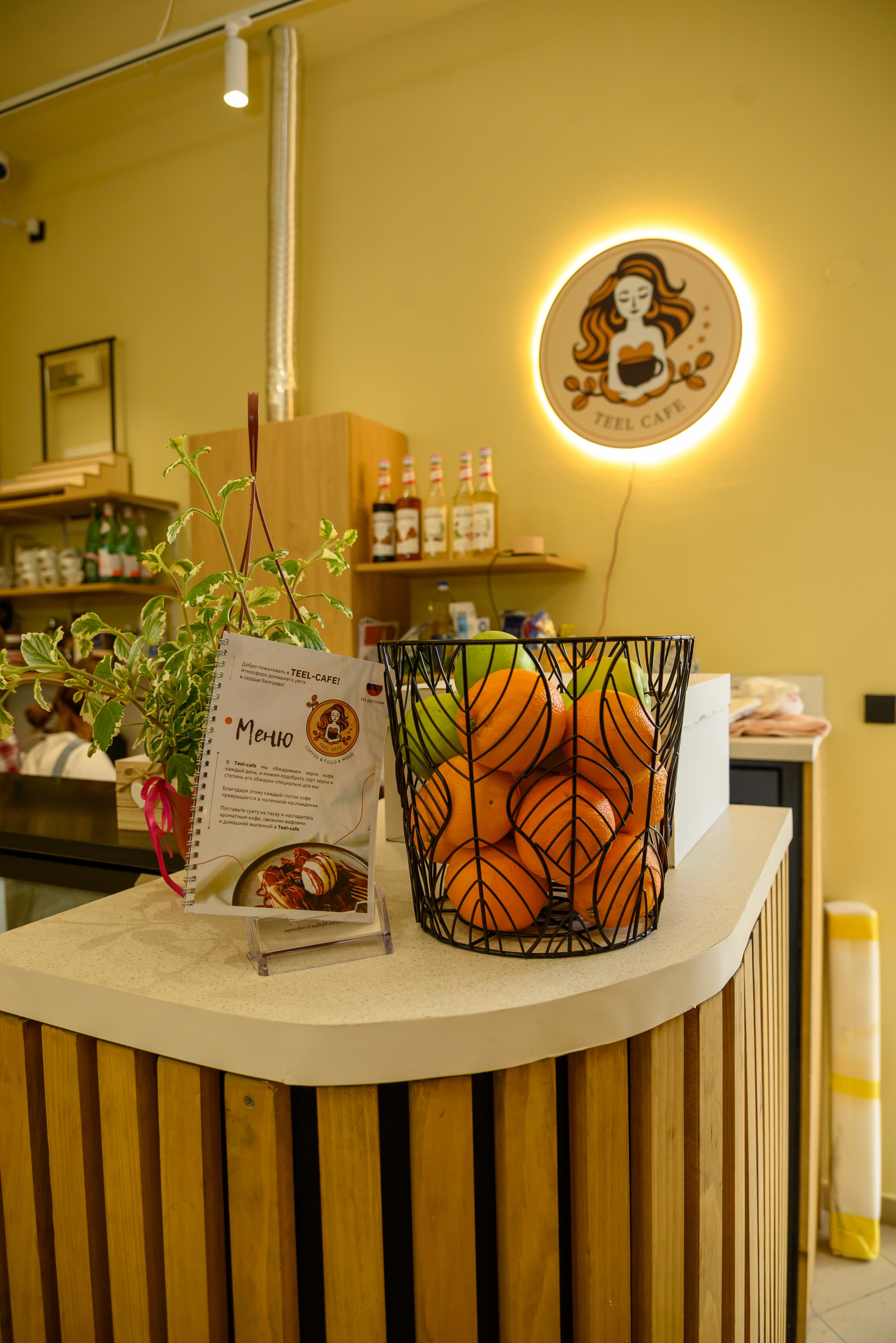Открытие Teel — cafe г.Белград. Фотограф Белград фото для бизнеса, предметная съемка, мероприятий