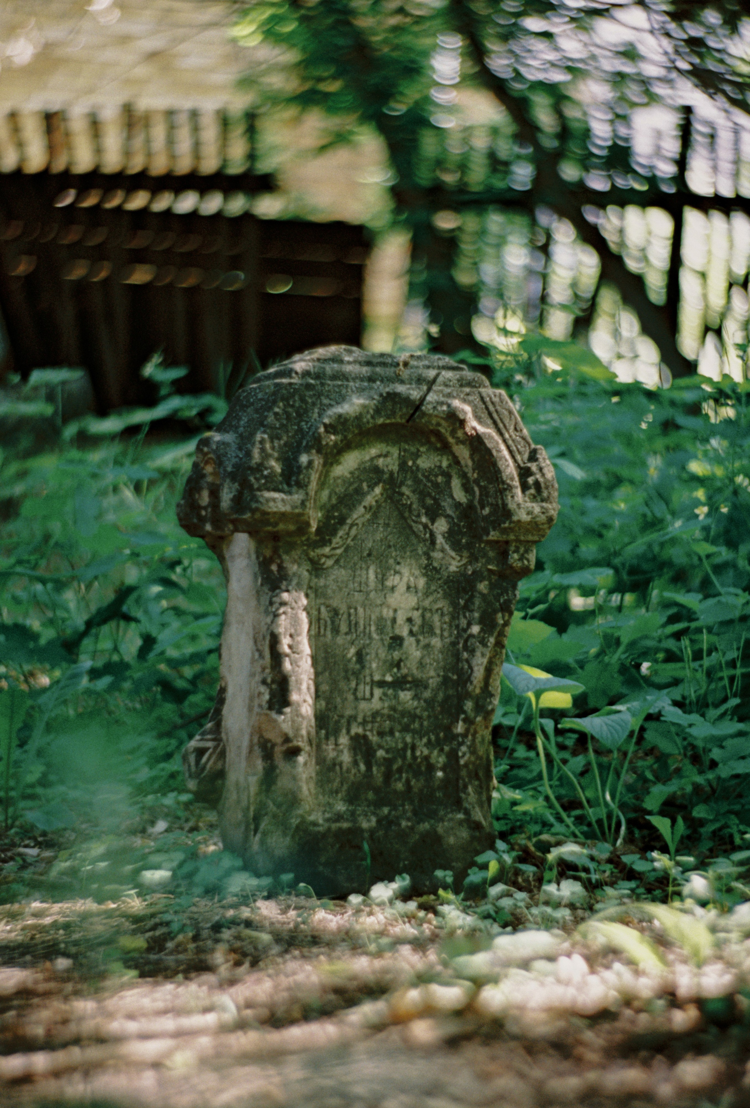 Пленочная история. Дмитрий Пропадалин, Нейрофотография