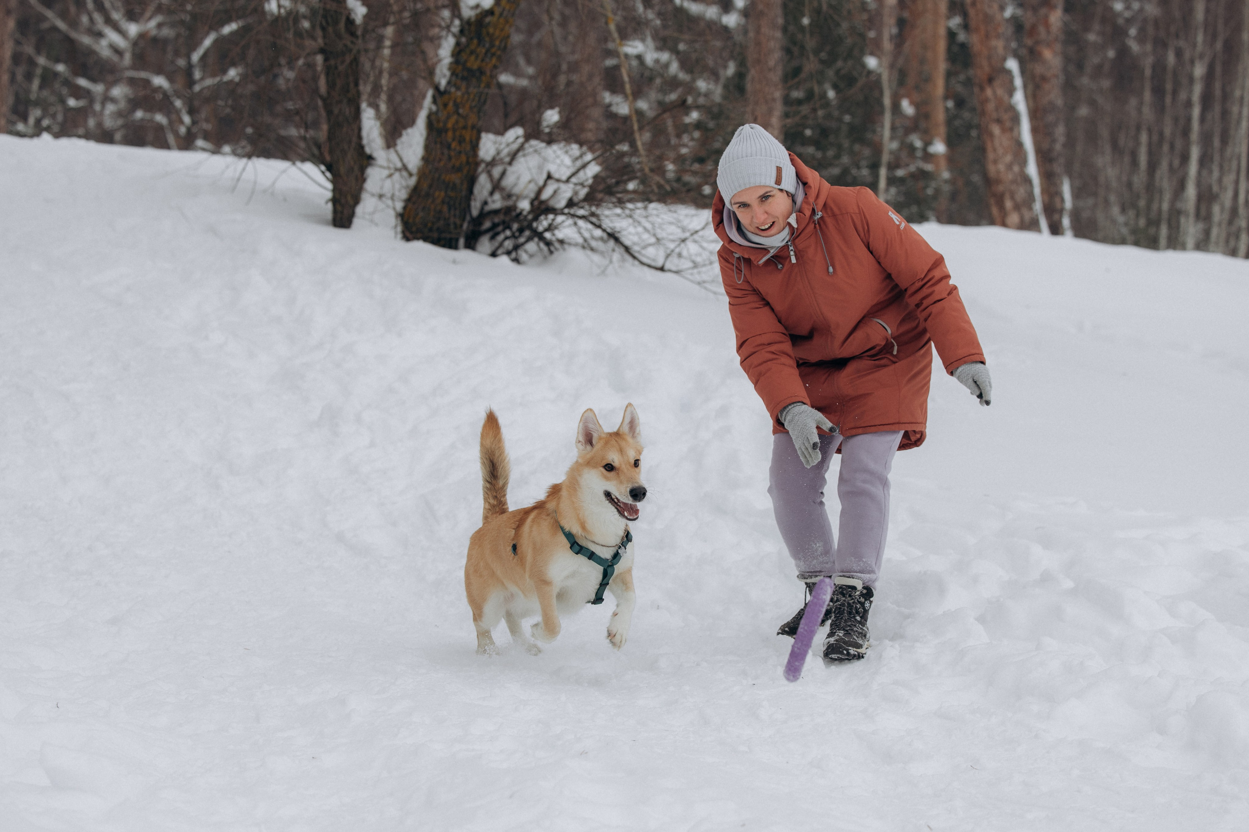 Прогулка на озере зимой. Фотограф анималист в Казани Алина Сулейманова. Фотограф животных