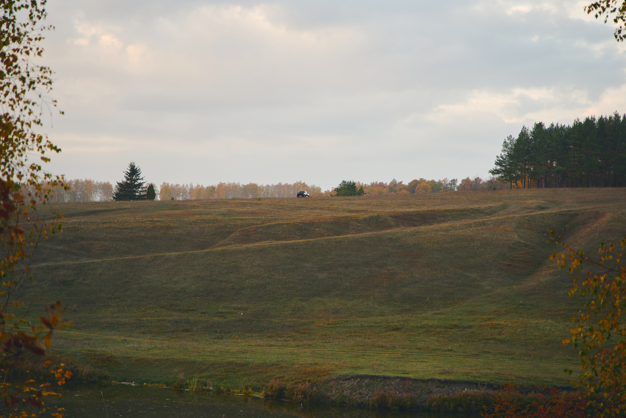 Alyona & Artemiy. Фотограф Дарья Зайцева