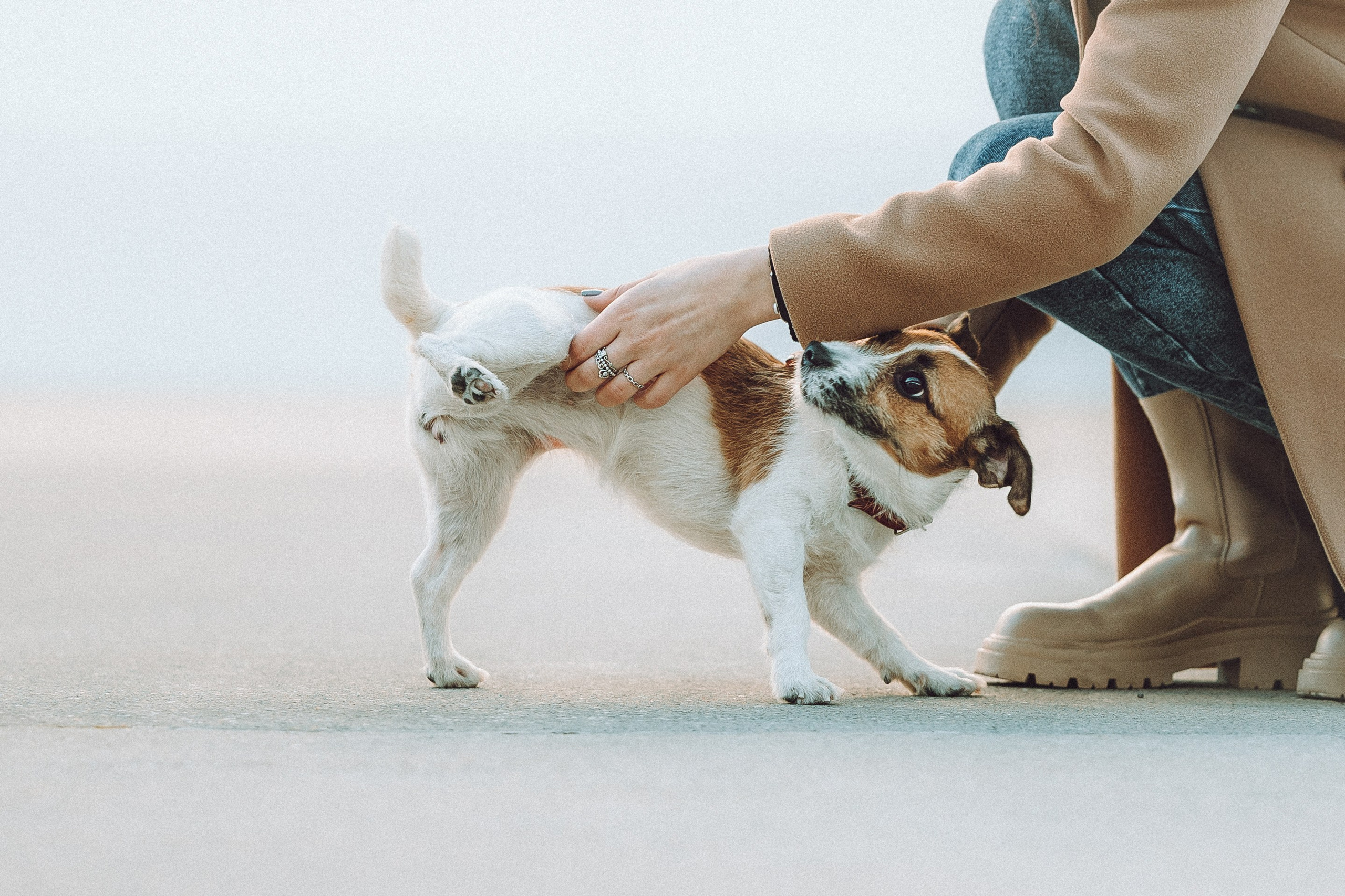 Лера и Рада