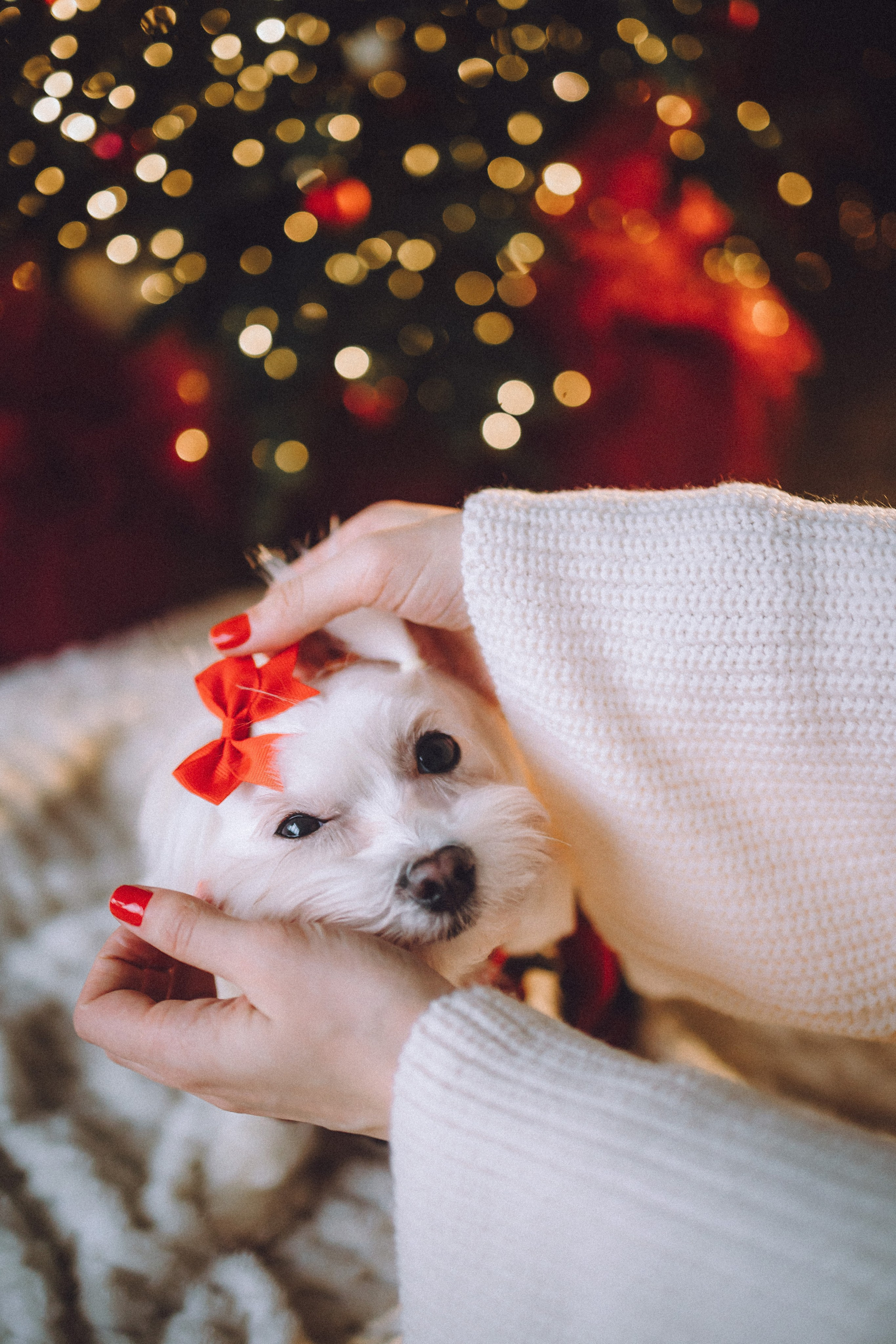 Констанция и Молли