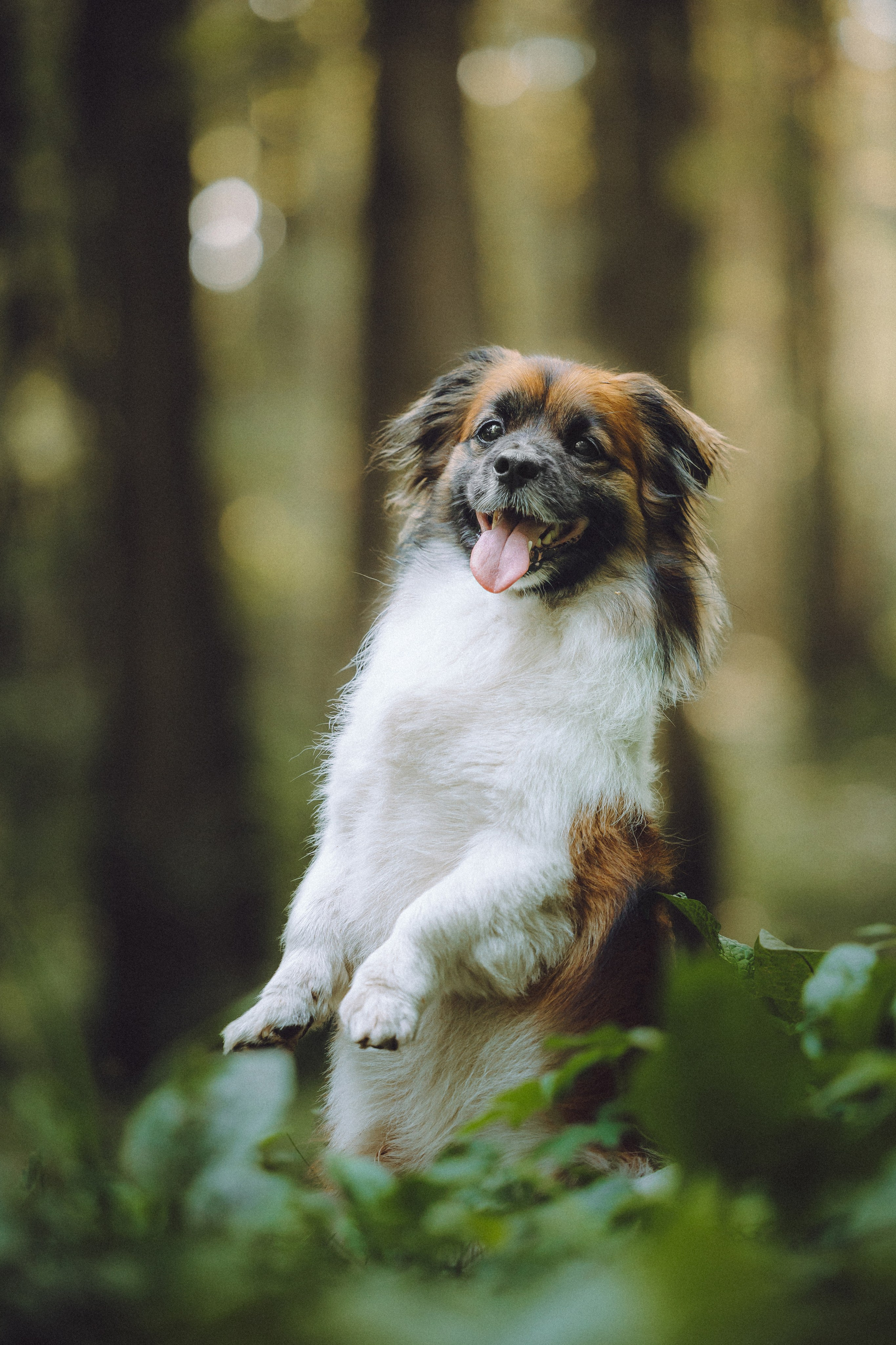 Катя, Андрей, Гектор, Ричи, Тортик и Трой