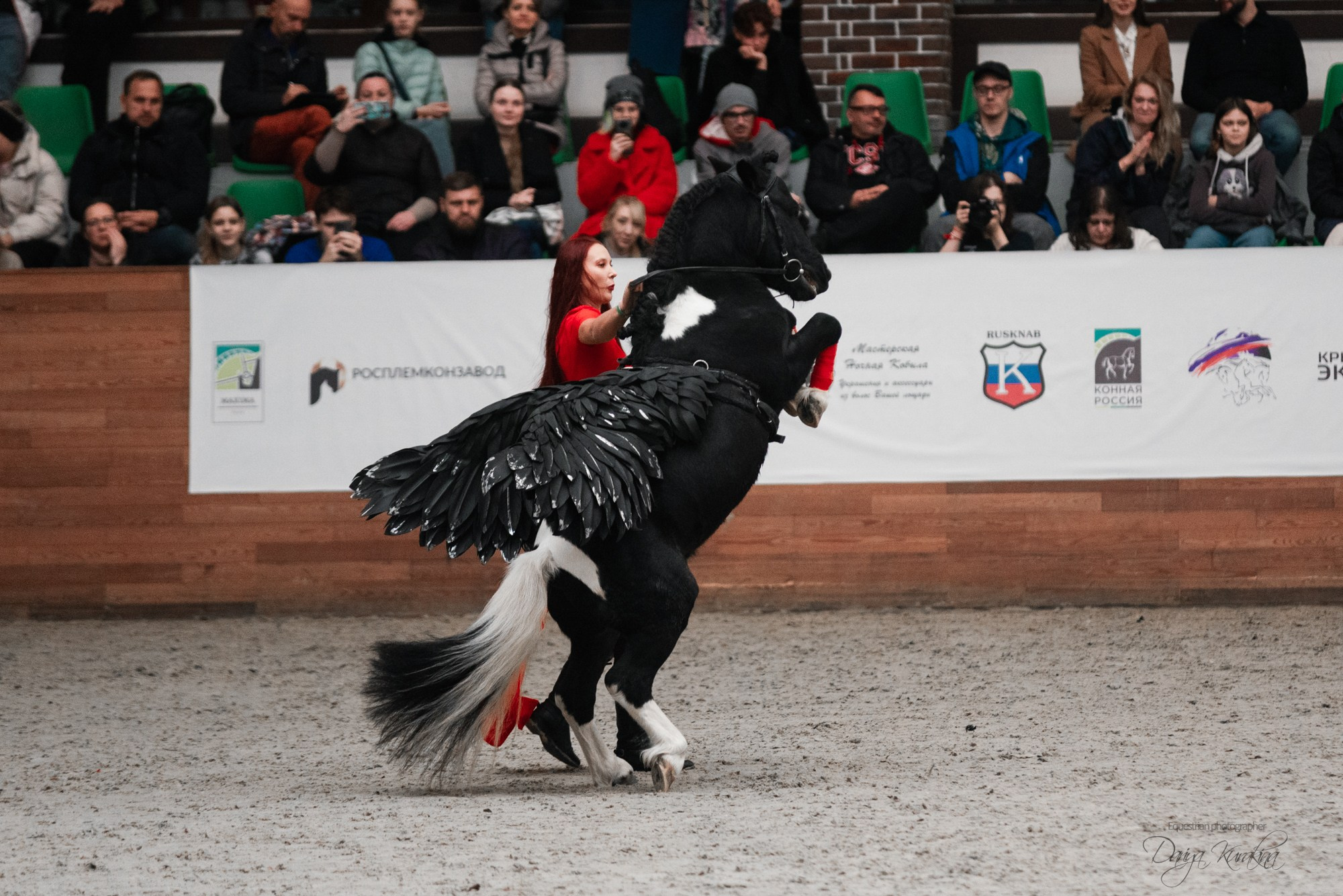8-я международная выставка Конная Россия. Конный фотограф Куракина Дарья • Фотосессии с лошадьми