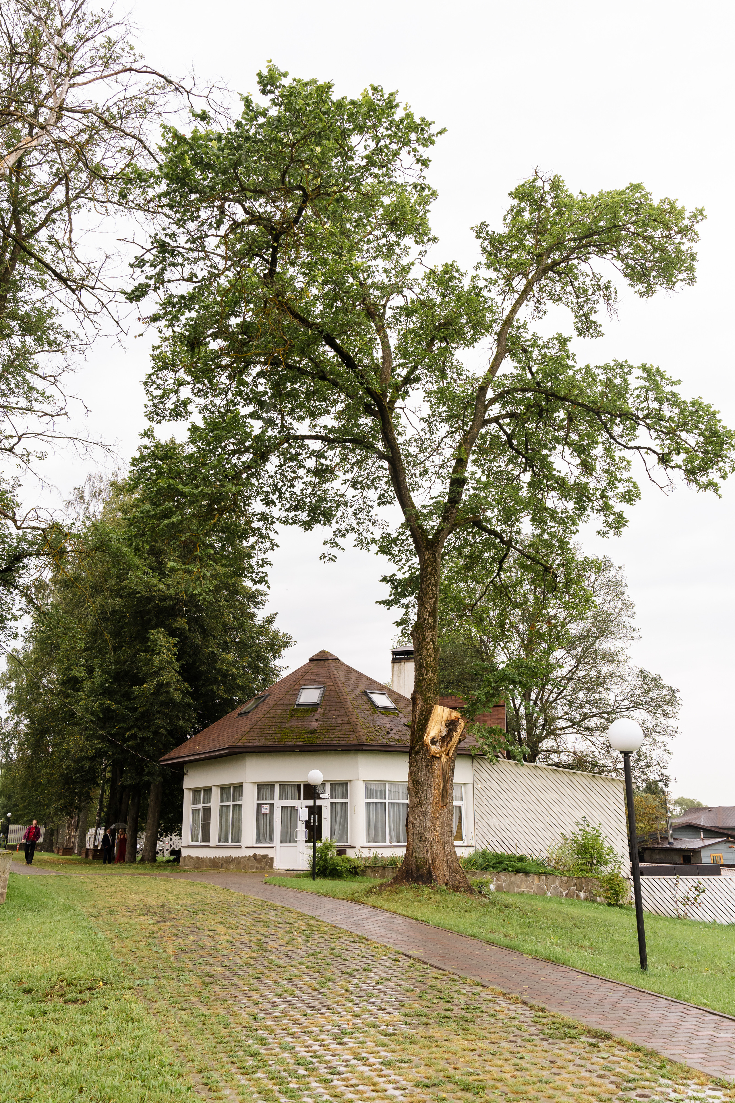 Свадьба Дарьи и Алексея. Свадебный фотограф в Москве Яна Деньгина